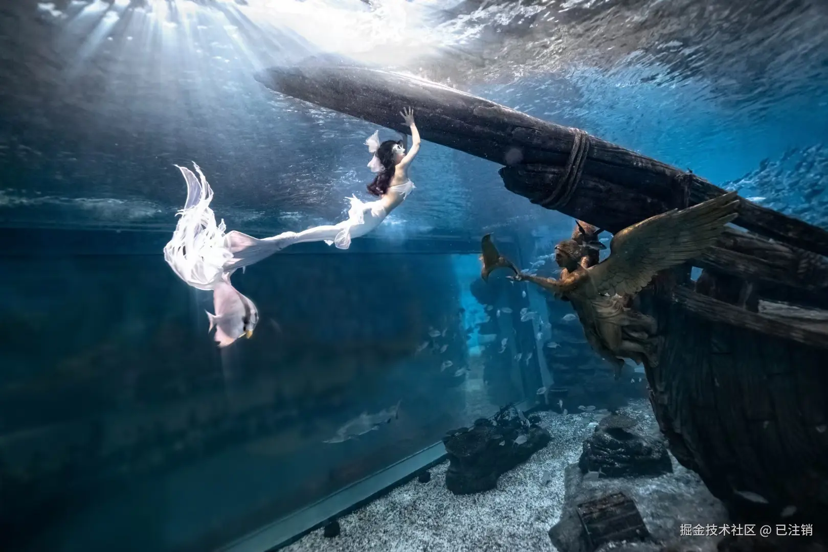 已注销于2025-06-13 15:08发布的图片