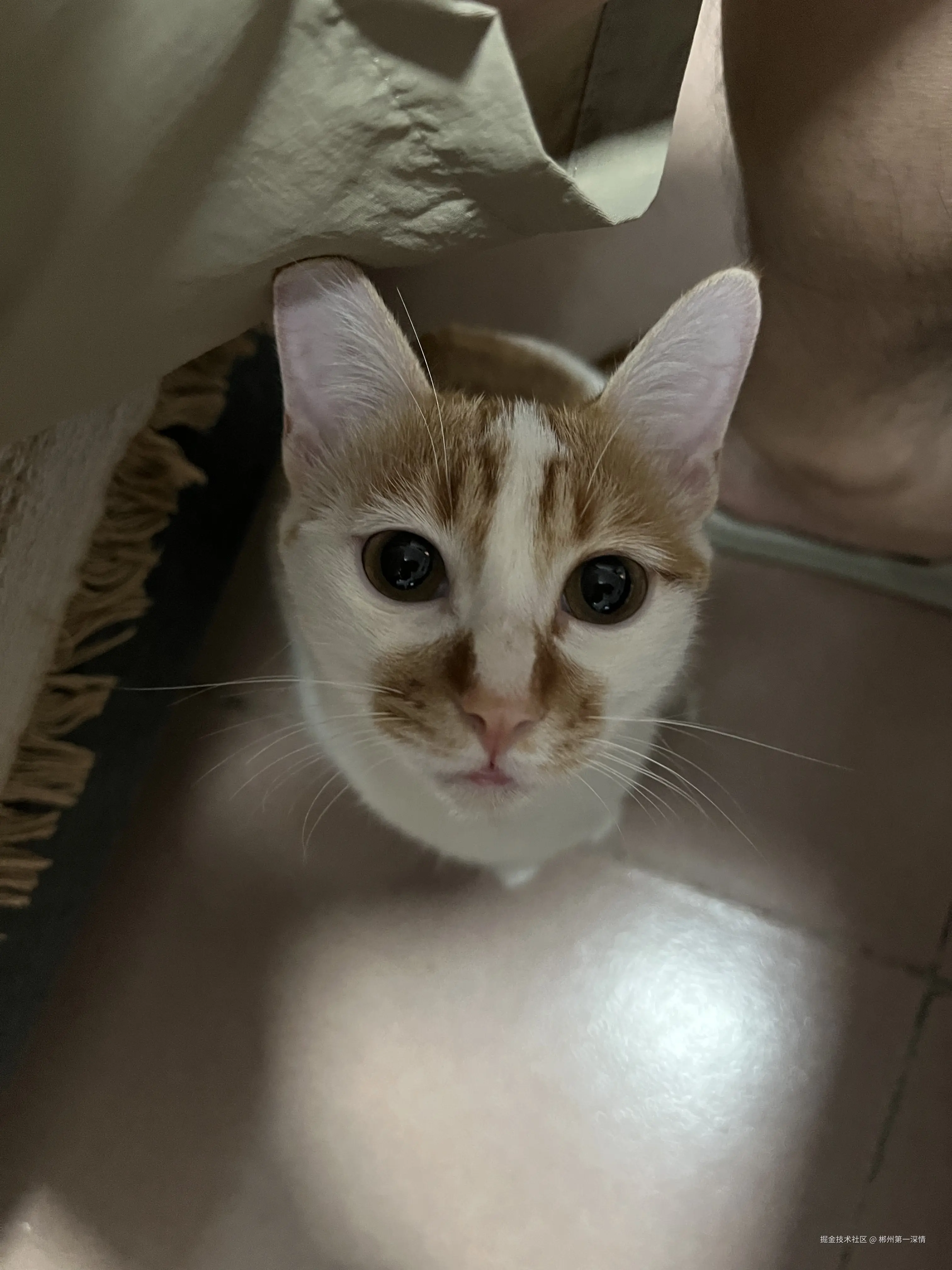 郴州第一深情于2025-07-21 08:45发布的图片