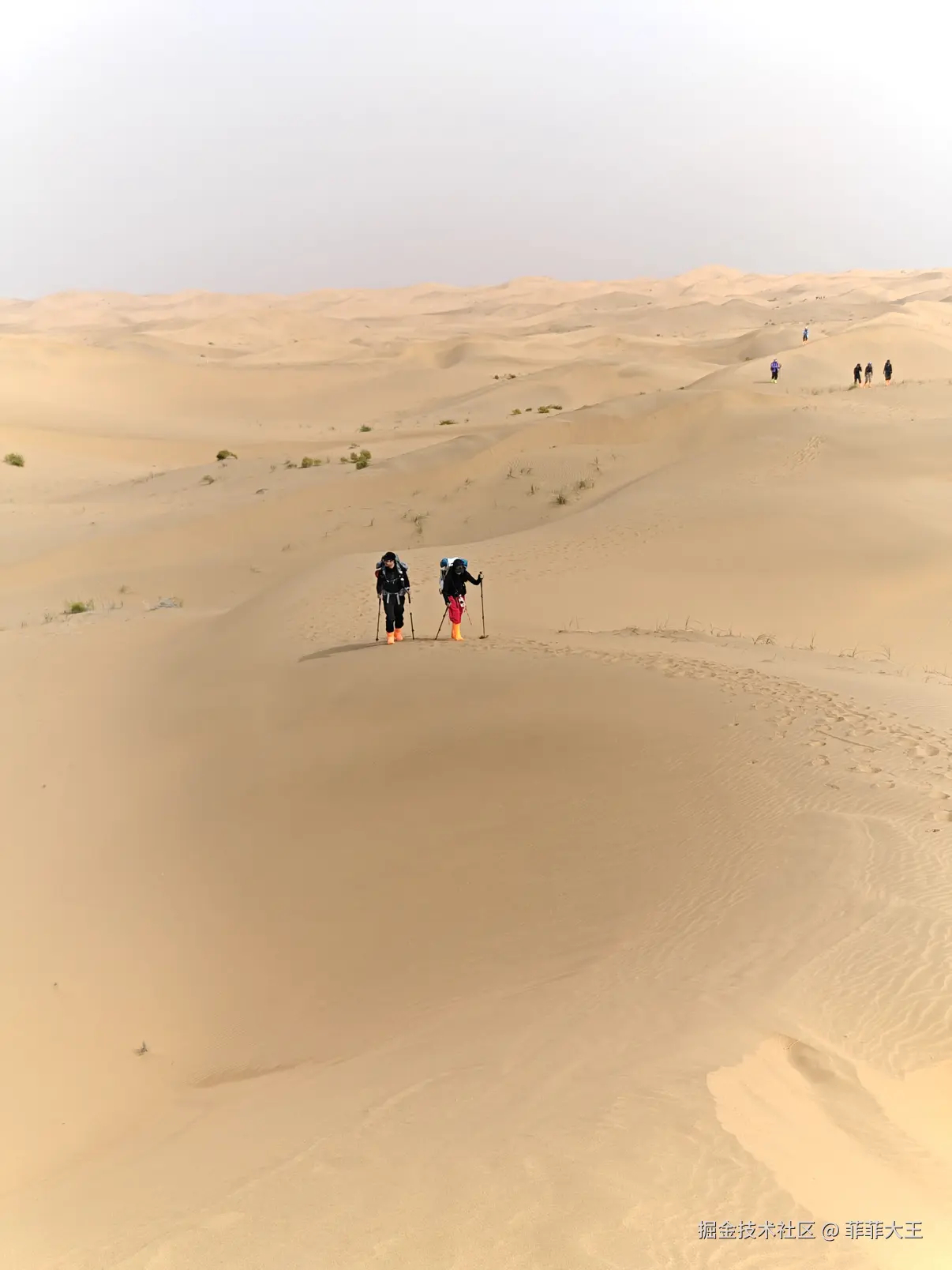 菲菲大王于2025-10-27 13:51发布的图片