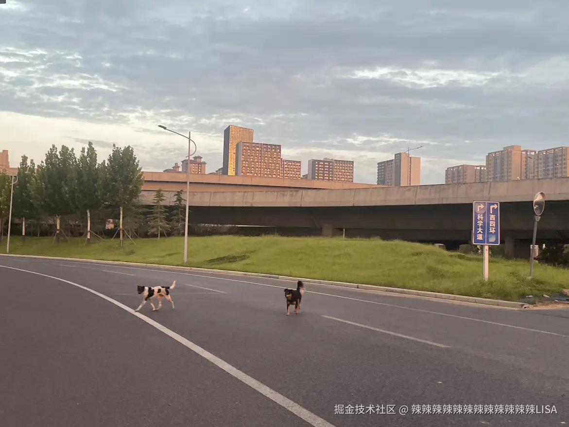 辣辣辣辣辣辣辣辣辣辣辣辣LISA于2024-08-20 22:25发布的图片