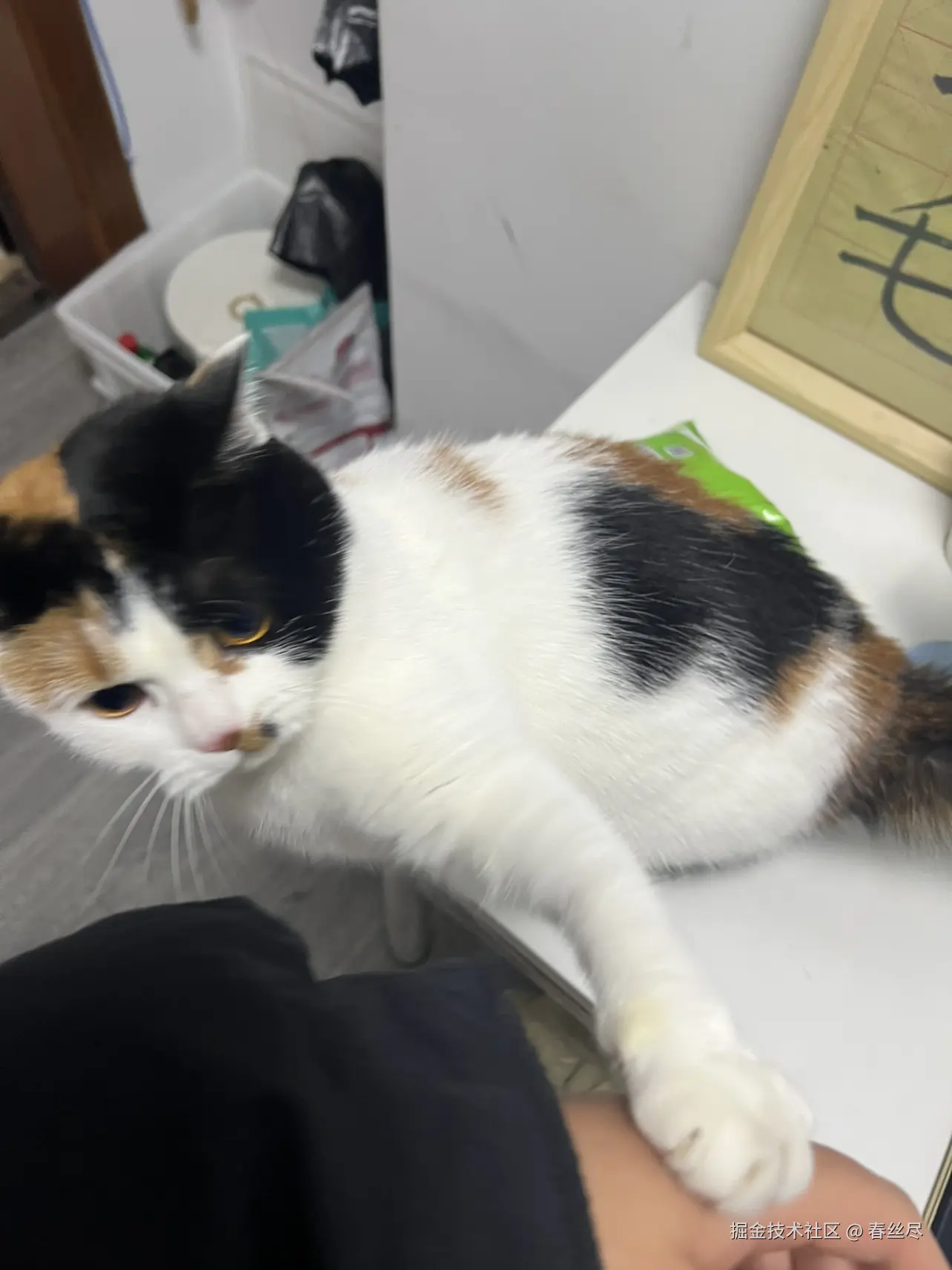 春丝尽于2026-03-26 17:07发布的图片