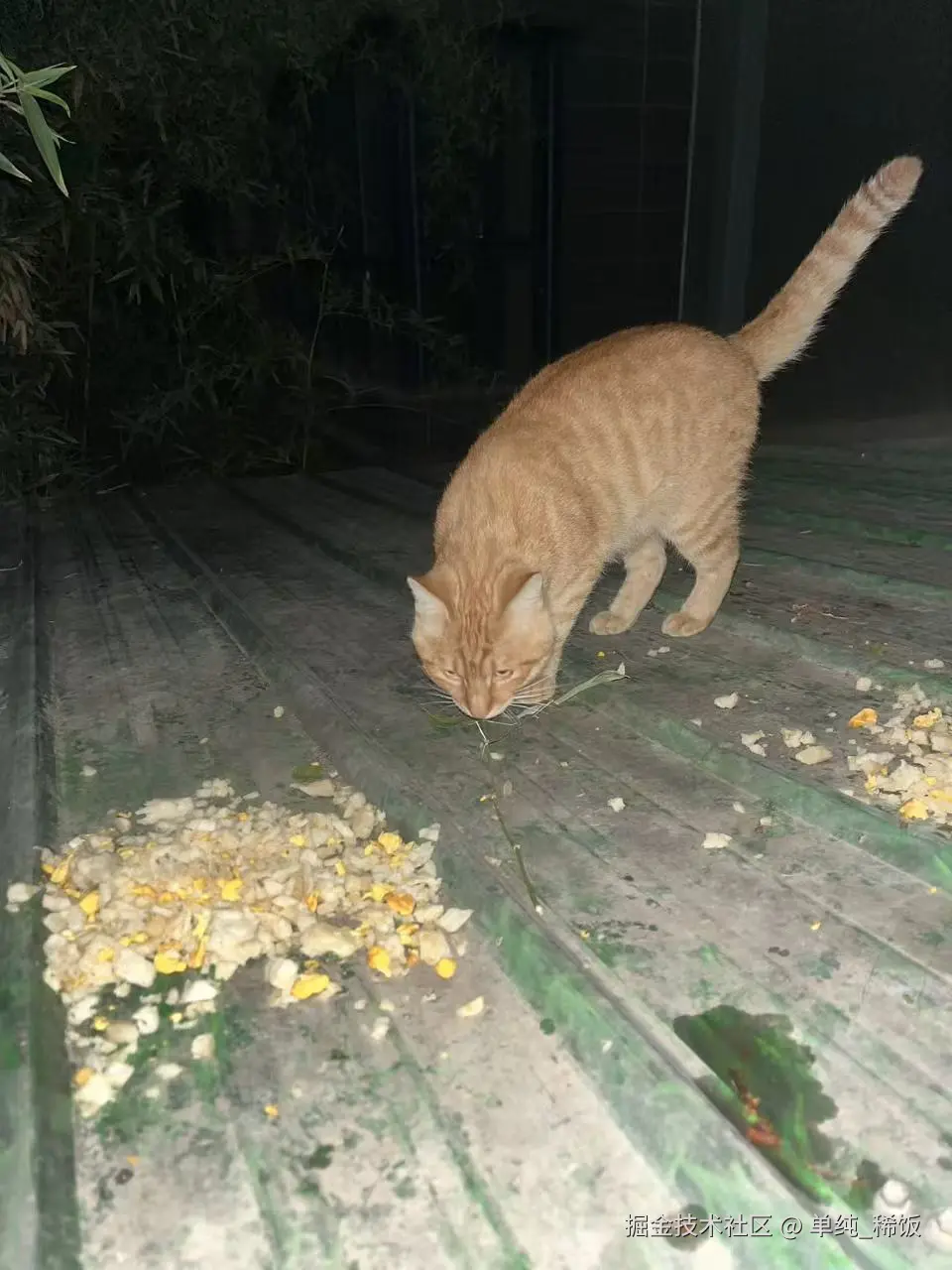 单纯_稀饭于2025-10-08 21:27发布的图片