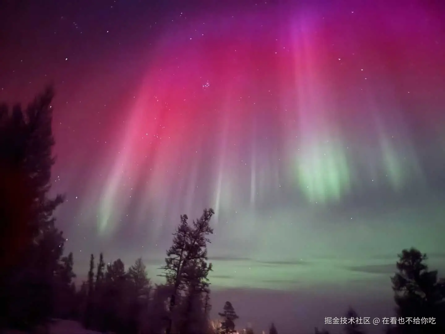 在看也不给你吃于2026-01-22 13:41发布的图片