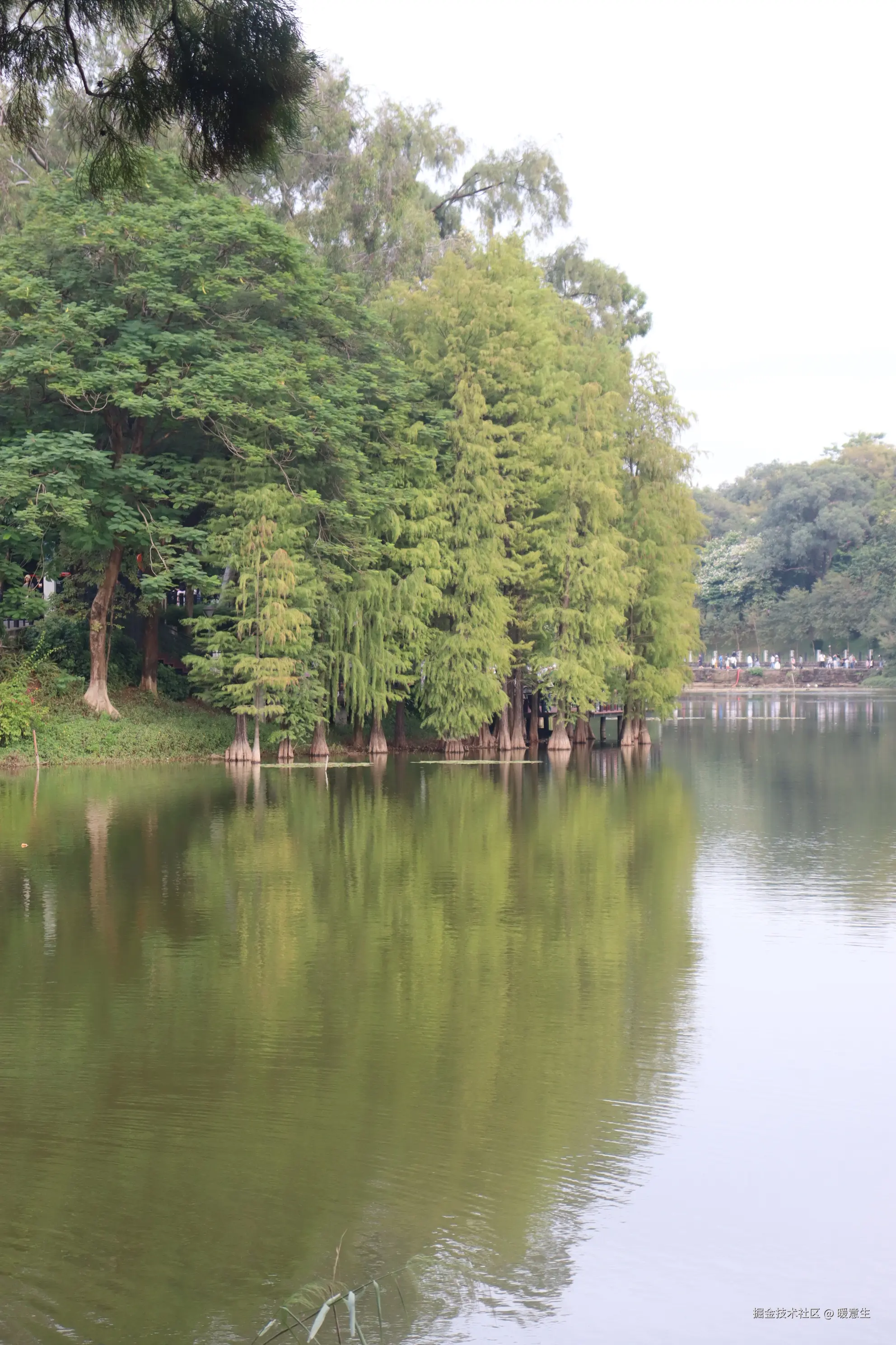 暖意生于2024-11-20 09:32发布的图片