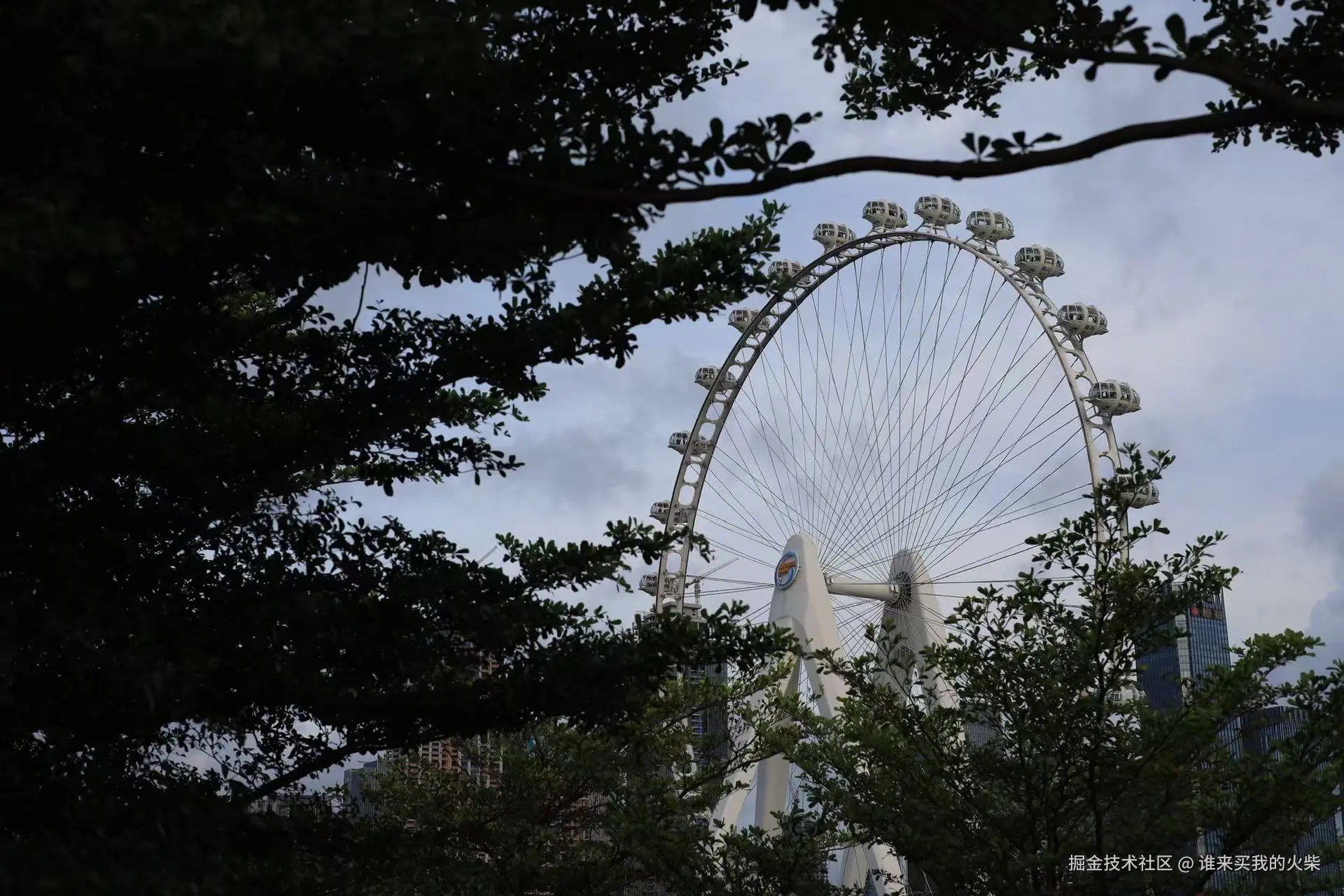 谁来买我的火柴于2024-10-31 17:10发布的图片