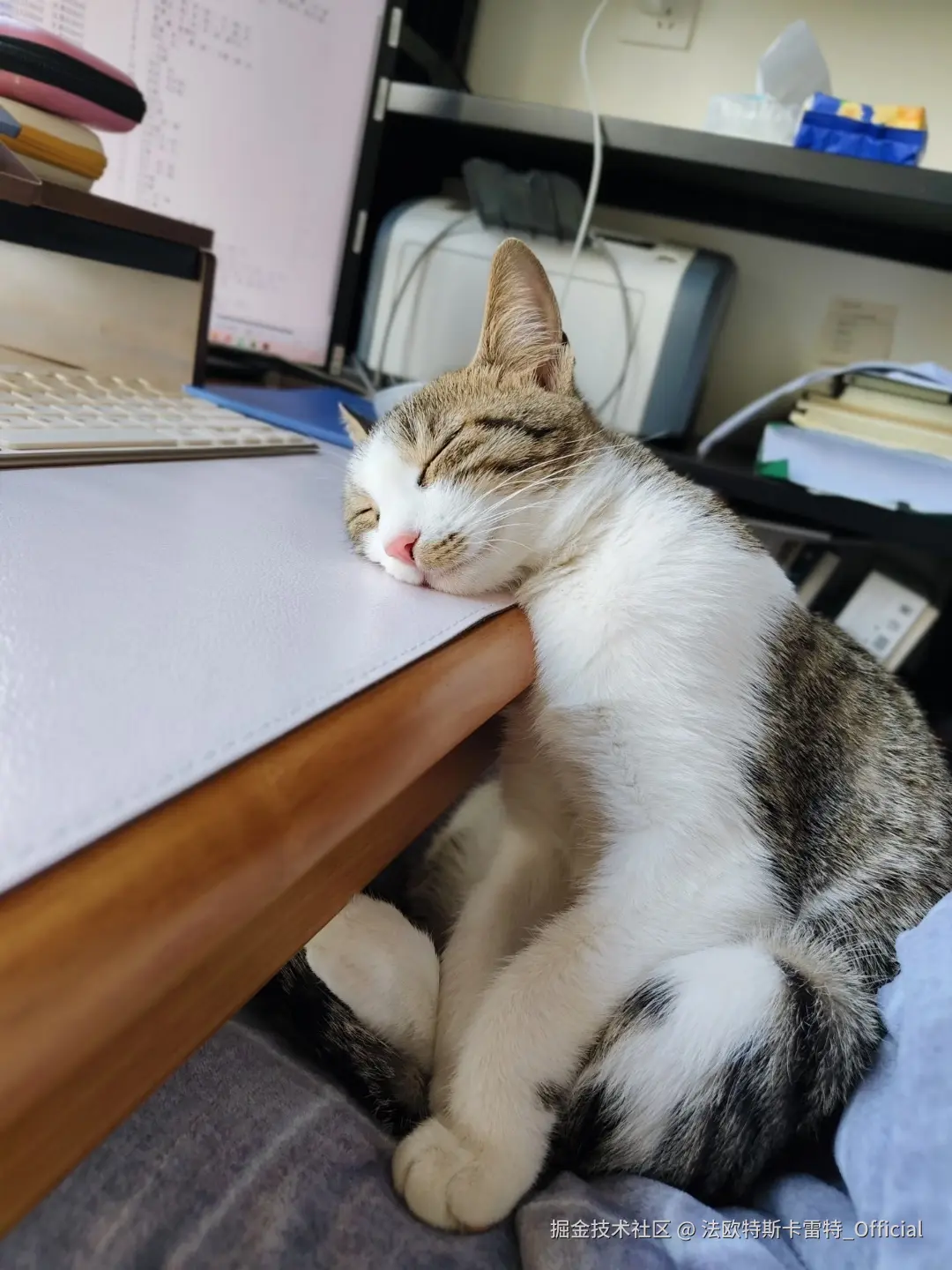 法欧特斯卡雷特_Official于2026-01-11 10:34发布的图片