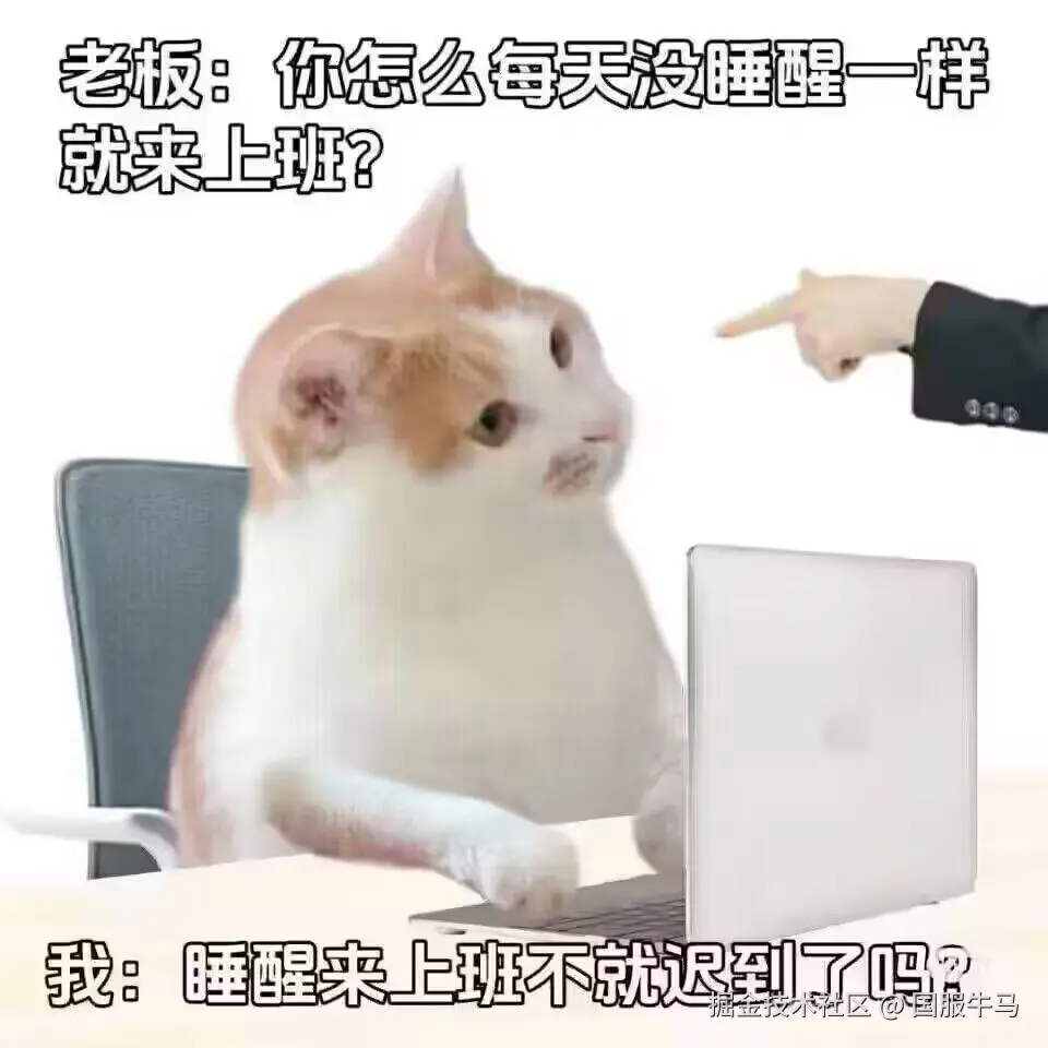 国服牛马于2024-09-09 01:28发布的图片