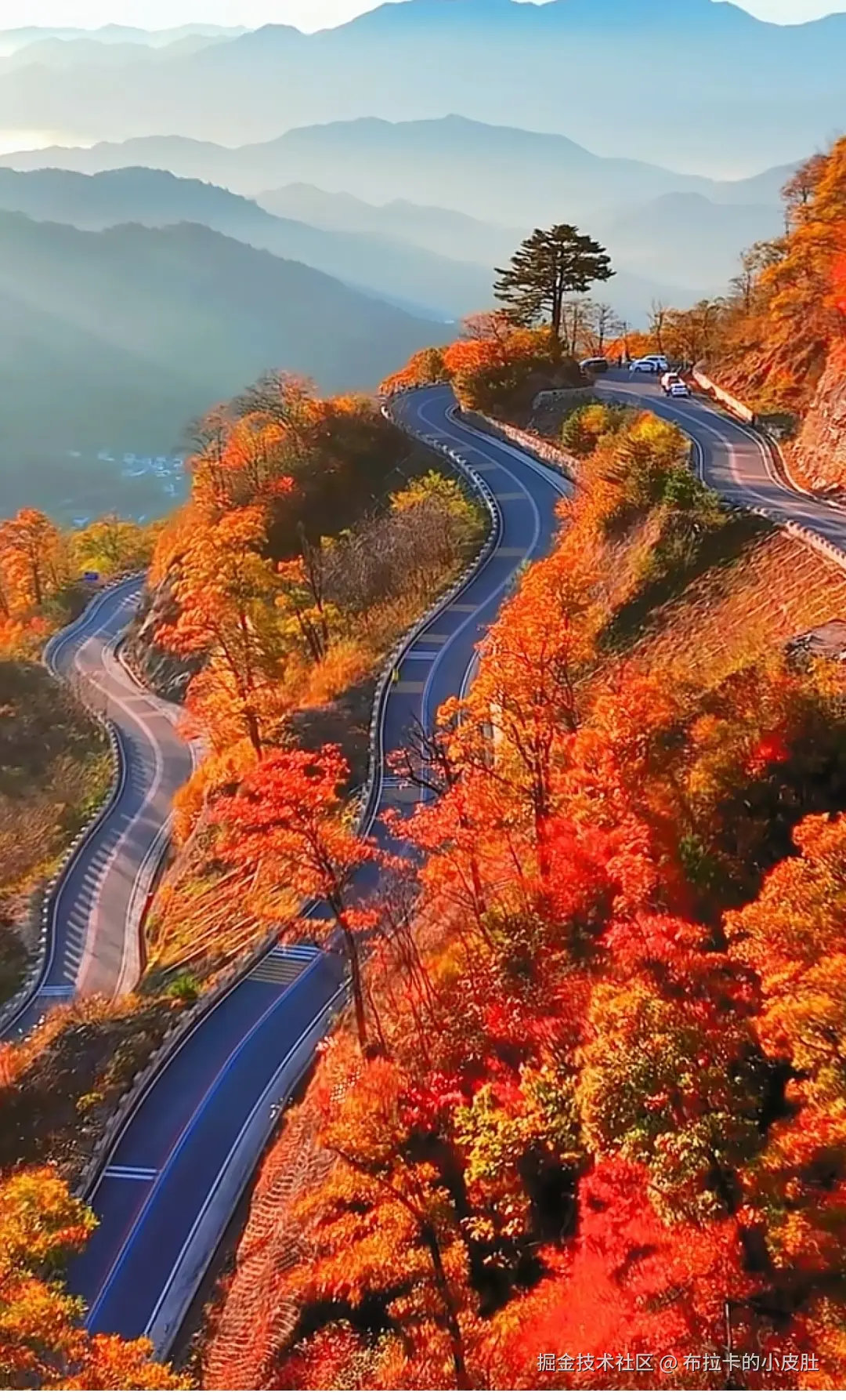 布拉卡的小皮肚于2025-10-27 09:25发布的图片