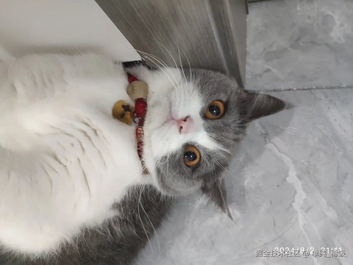 单纯_稀饭于2024-08-03 09:24发布的图片