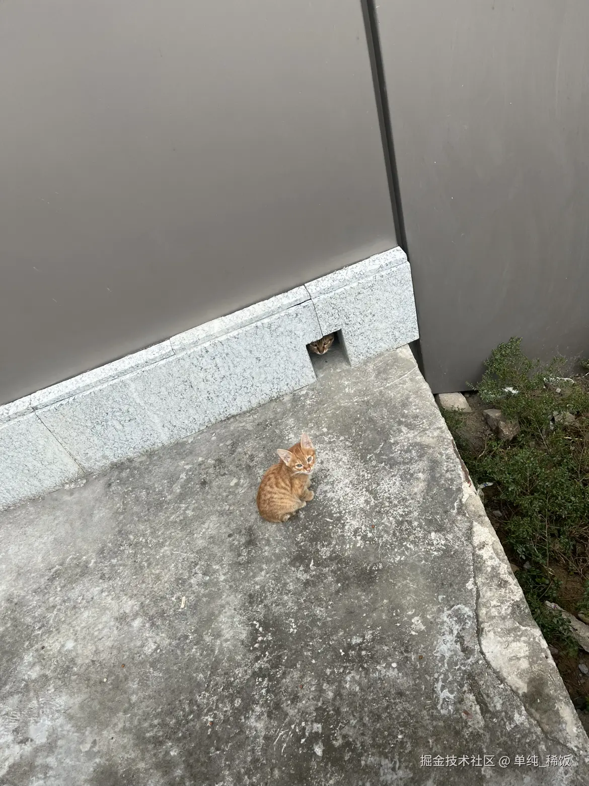 单纯_稀饭于2024-11-19 13:04发布的图片