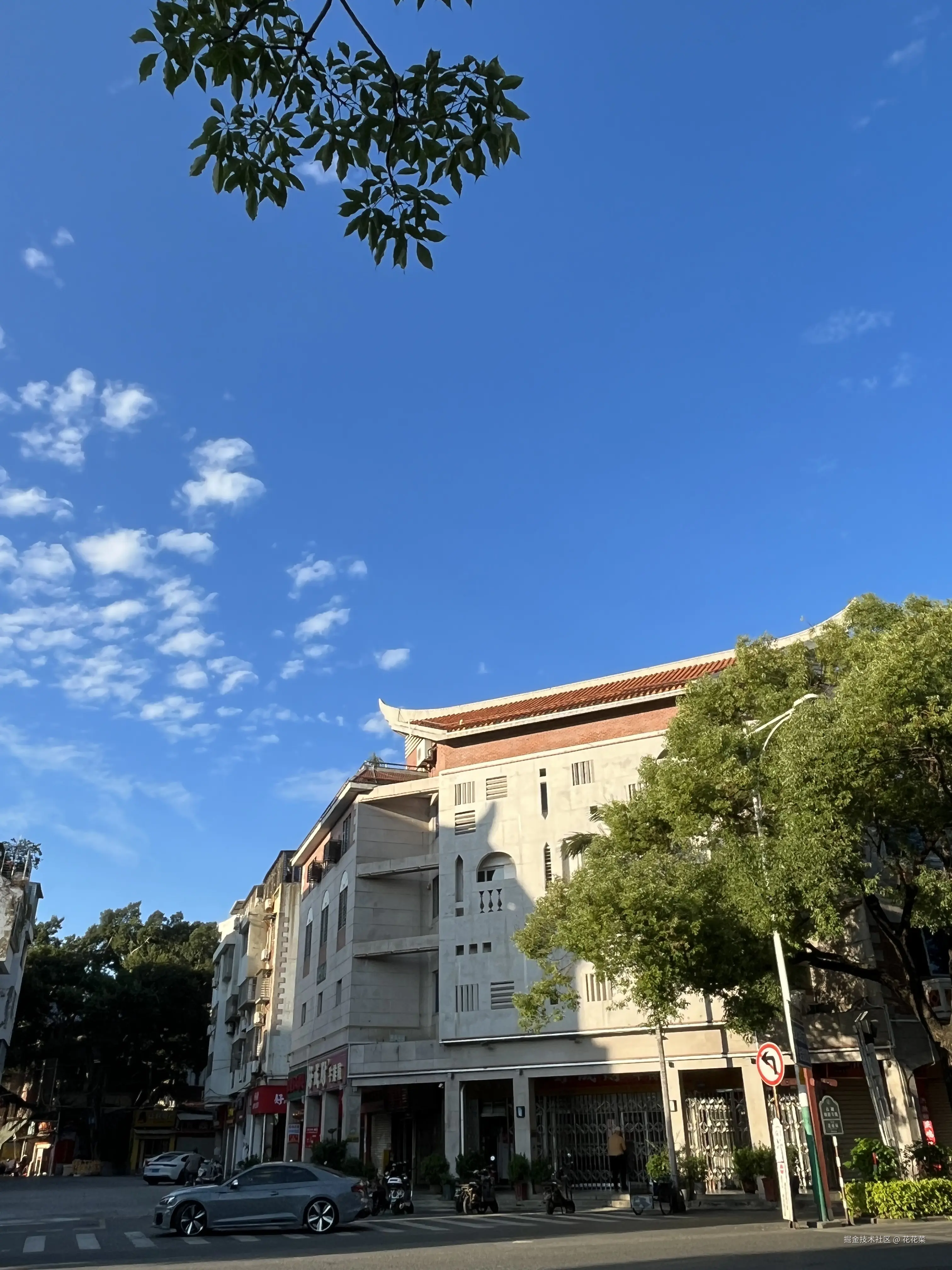 花花菜于2024-11-04 15:07发布的图片