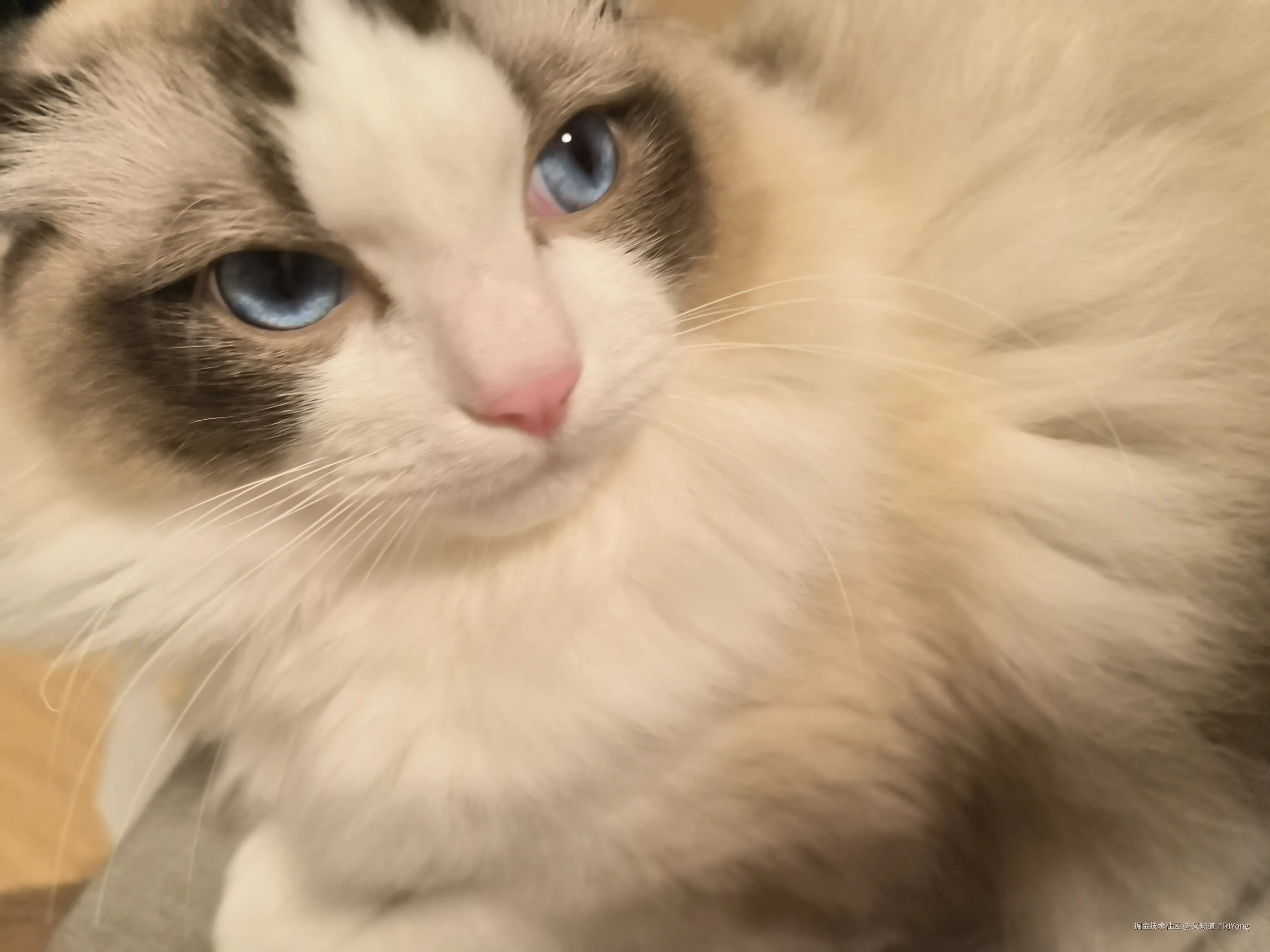 又知道了阿Yong于2025-03-01 16:46发布的图片