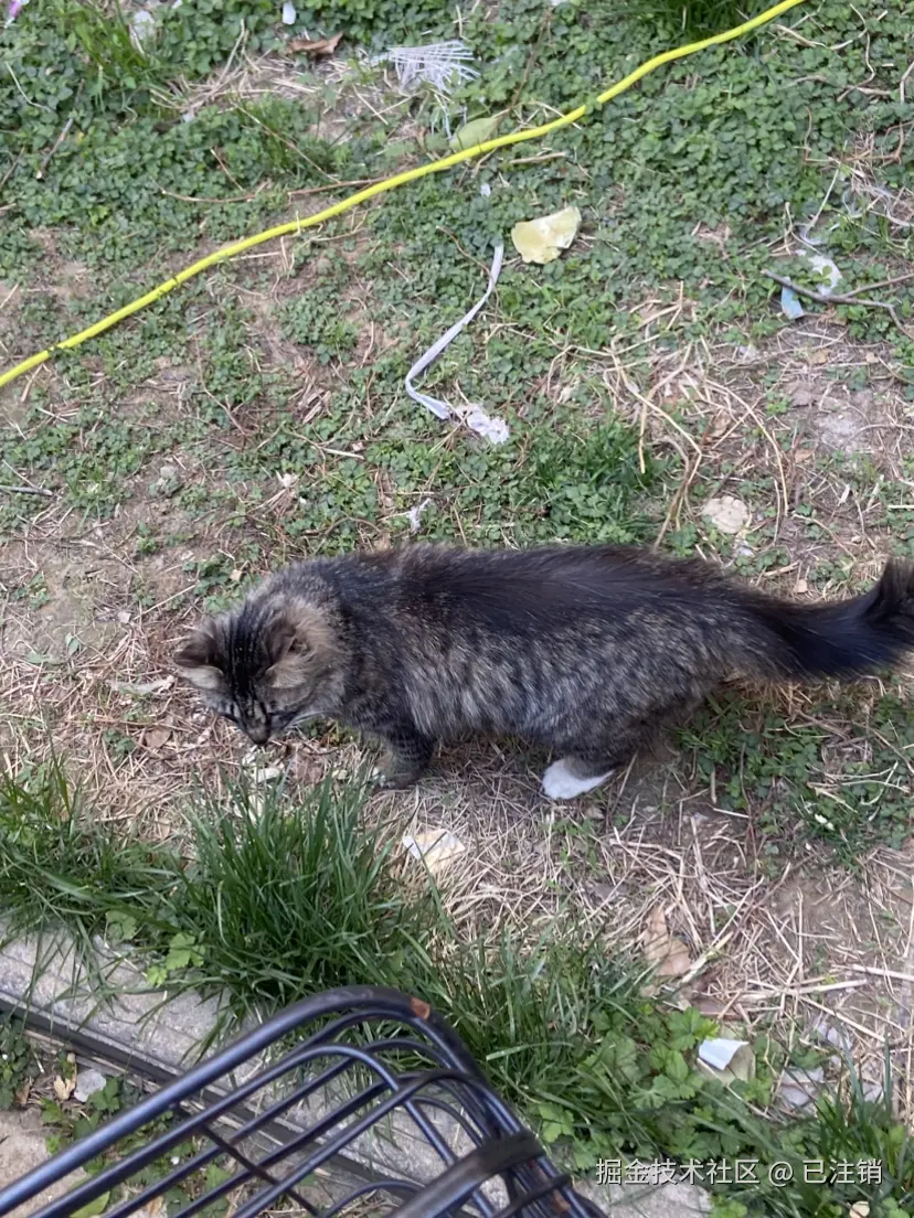 已注销于2025-04-06 11:58发布的图片