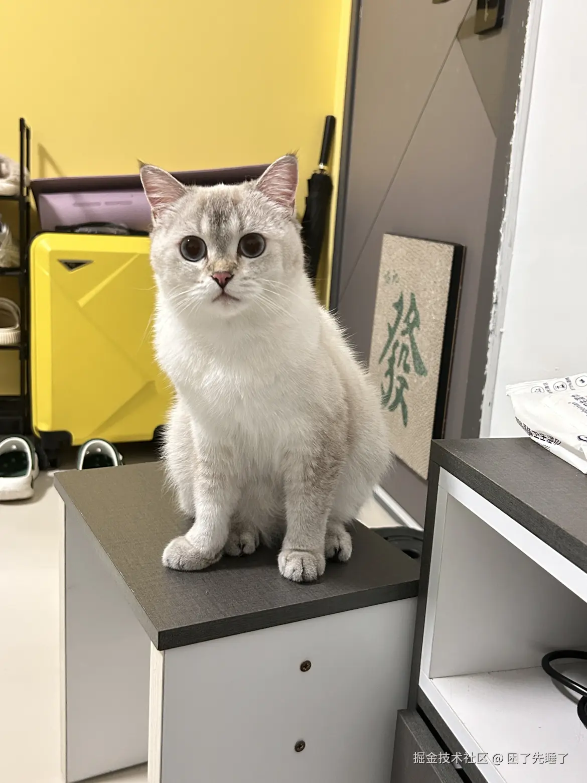 困了先睡了于2025-08-18 09:03发布的图片