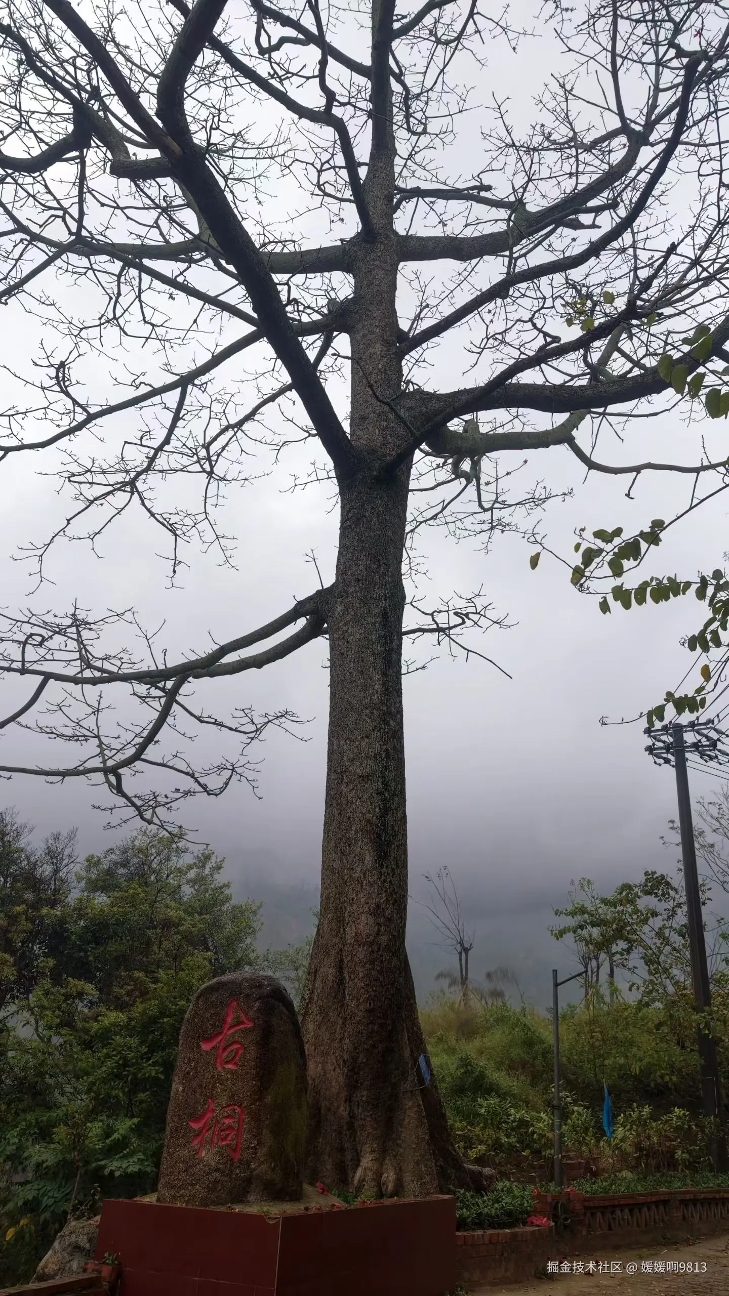 媛媛啊9813于2026-03-29 15:21发布的图片