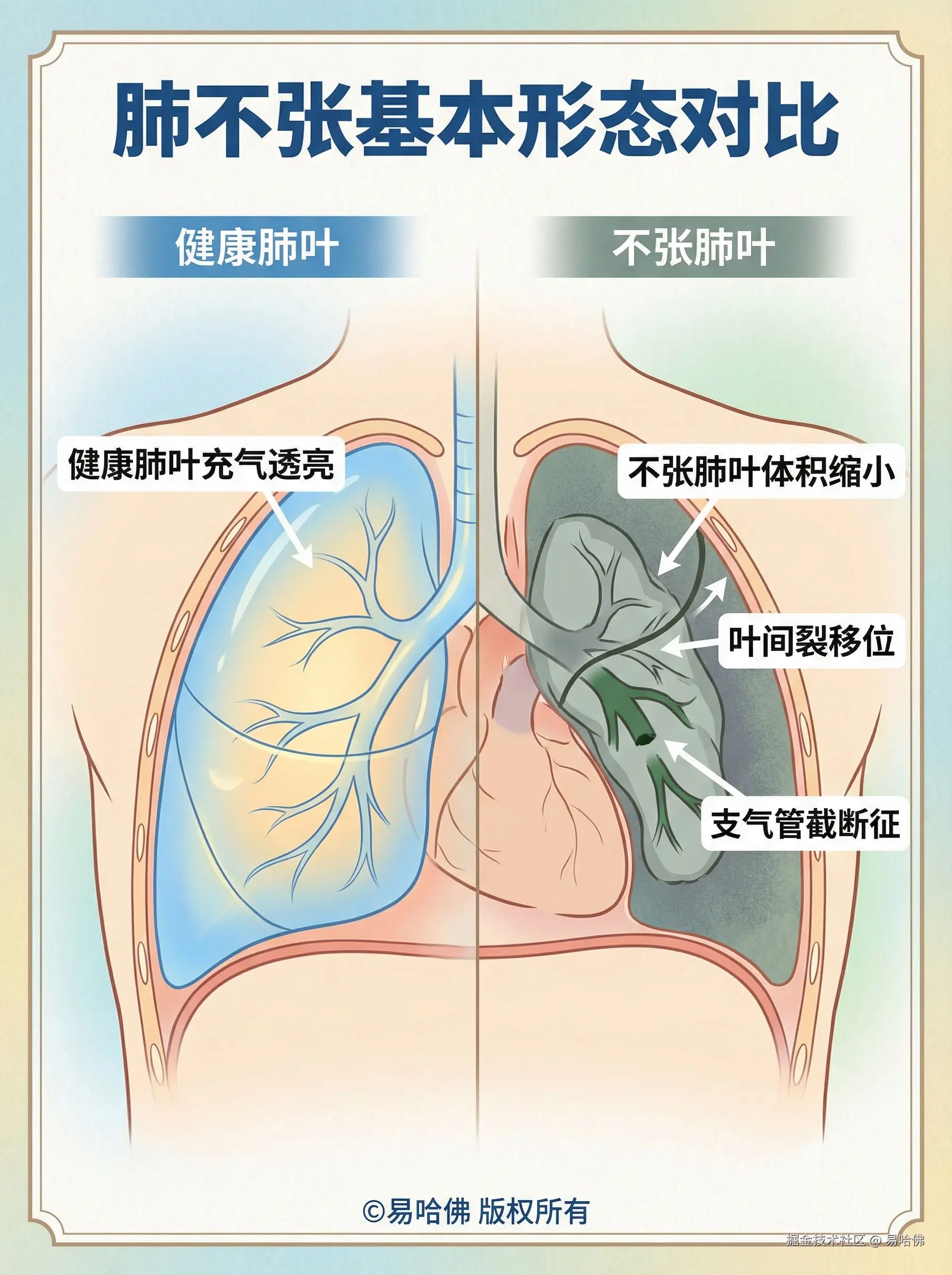 易哈佛于2026-01-05 09:25发布的图片