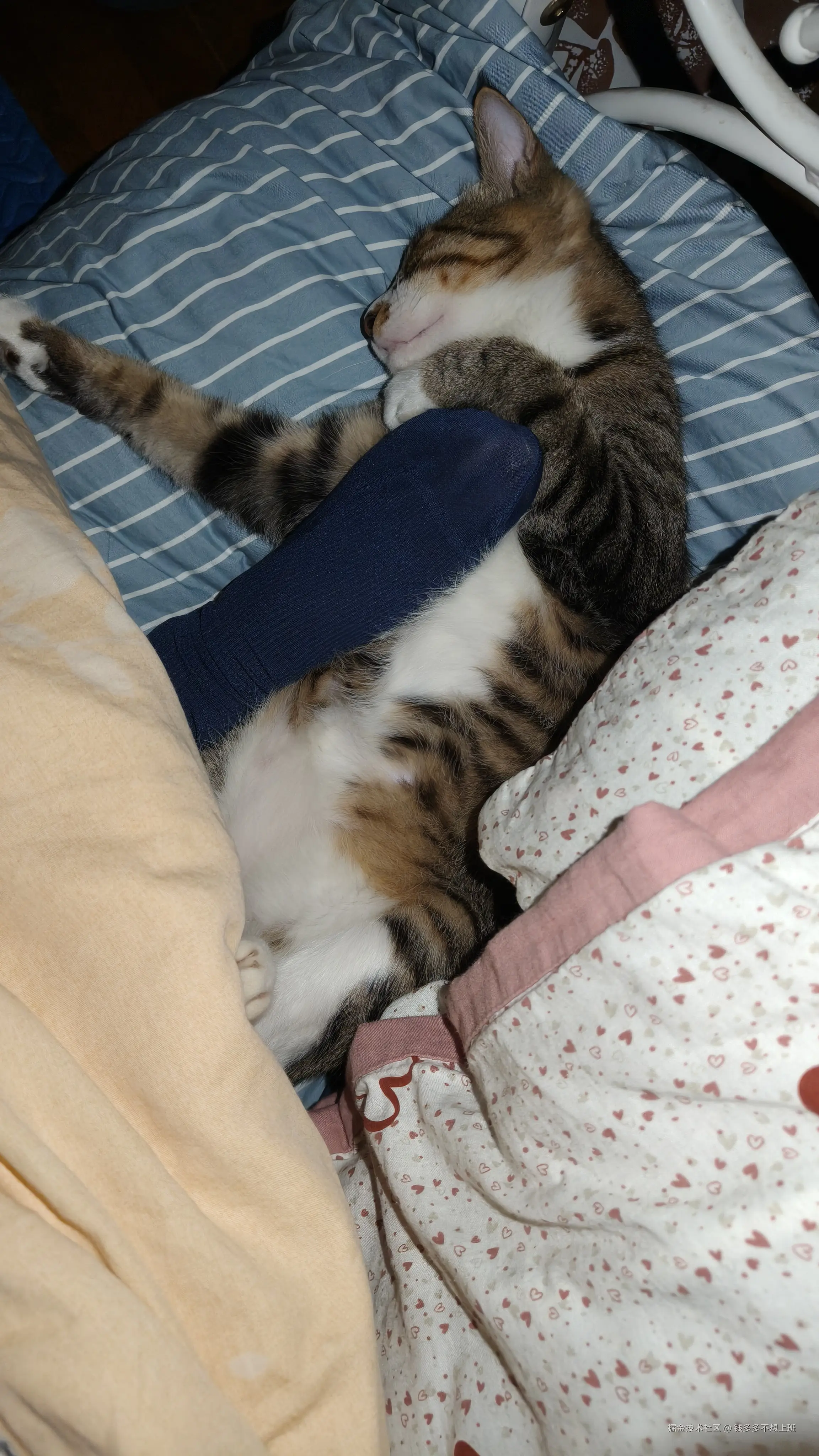 钱多多不想上班于2025-10-20 10:26发布的图片