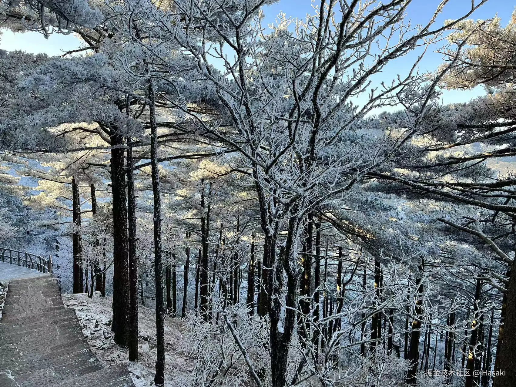 Hasaki于2024-12-16 10:21发布的图片