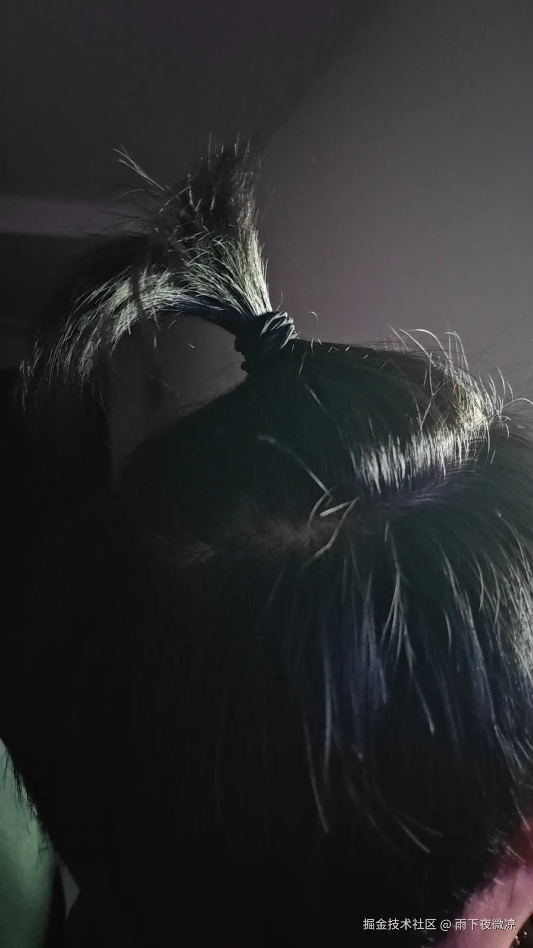 雨下夜微凉于2026-04-13 08:51发布的图片