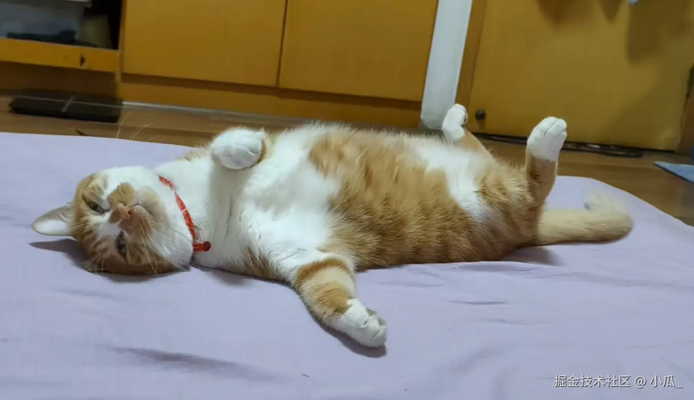 小瓜_于2025-08-21 13:57发布的图片