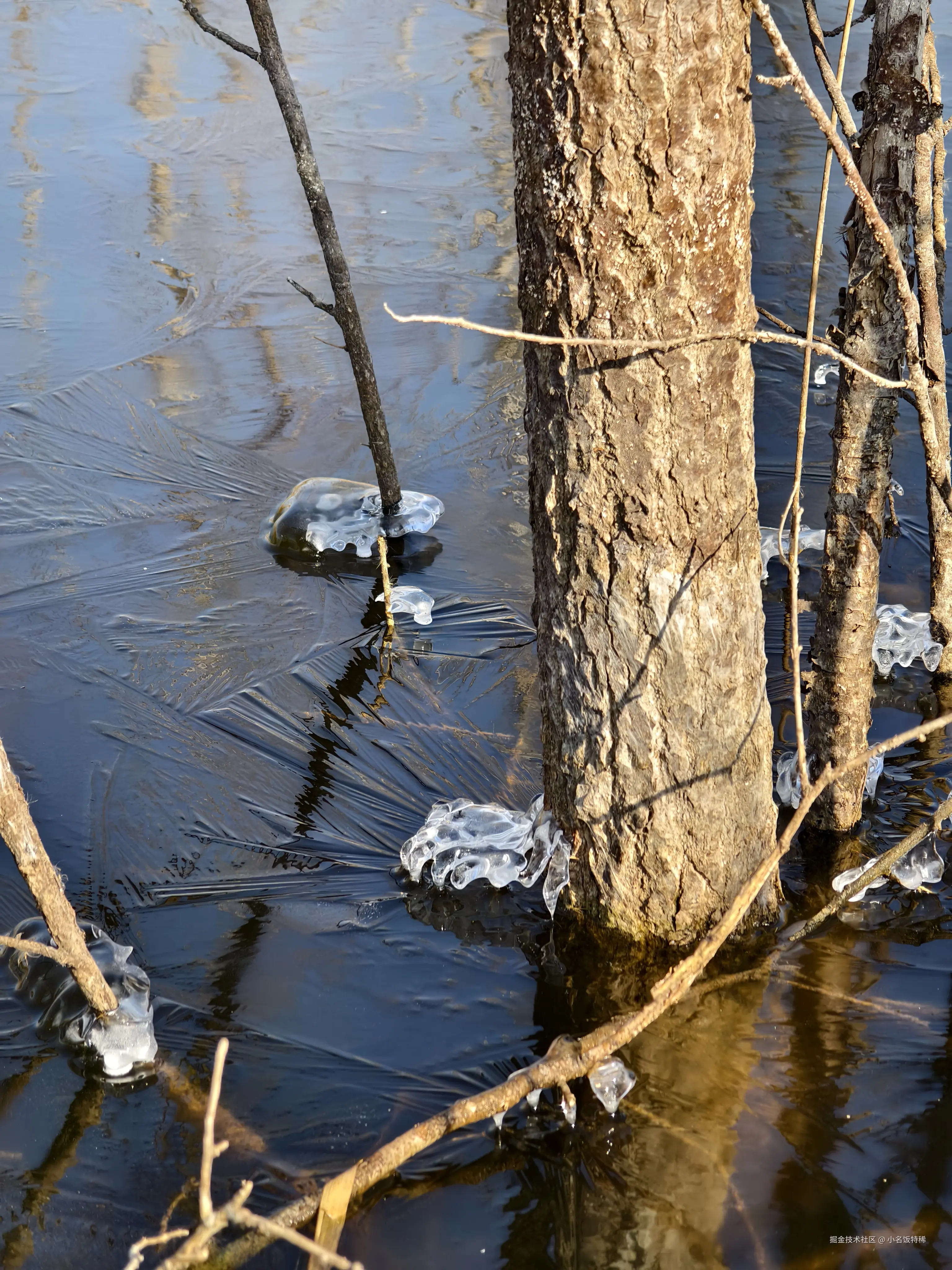 小名饭特稀于2025-02-10 17:44发布的图片