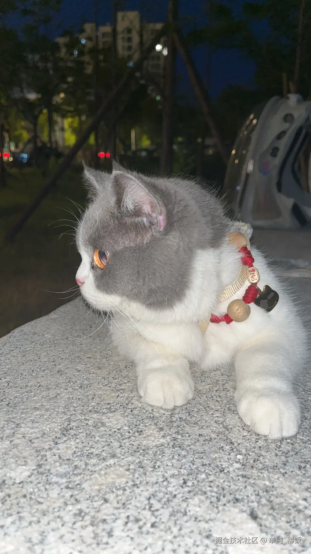 单纯_稀饭于2024-07-22 08:06发布的图片