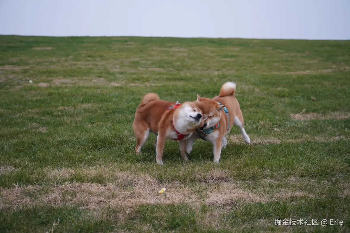 Erie于2024-12-24 10:18发布的图片