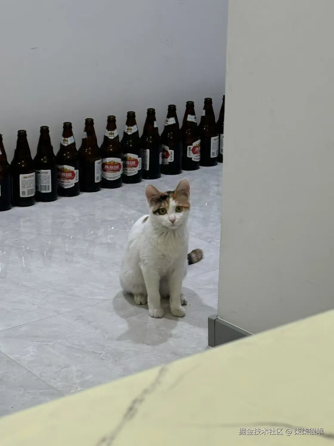 柒柒很乖于2025-01-14 11:21发布的图片