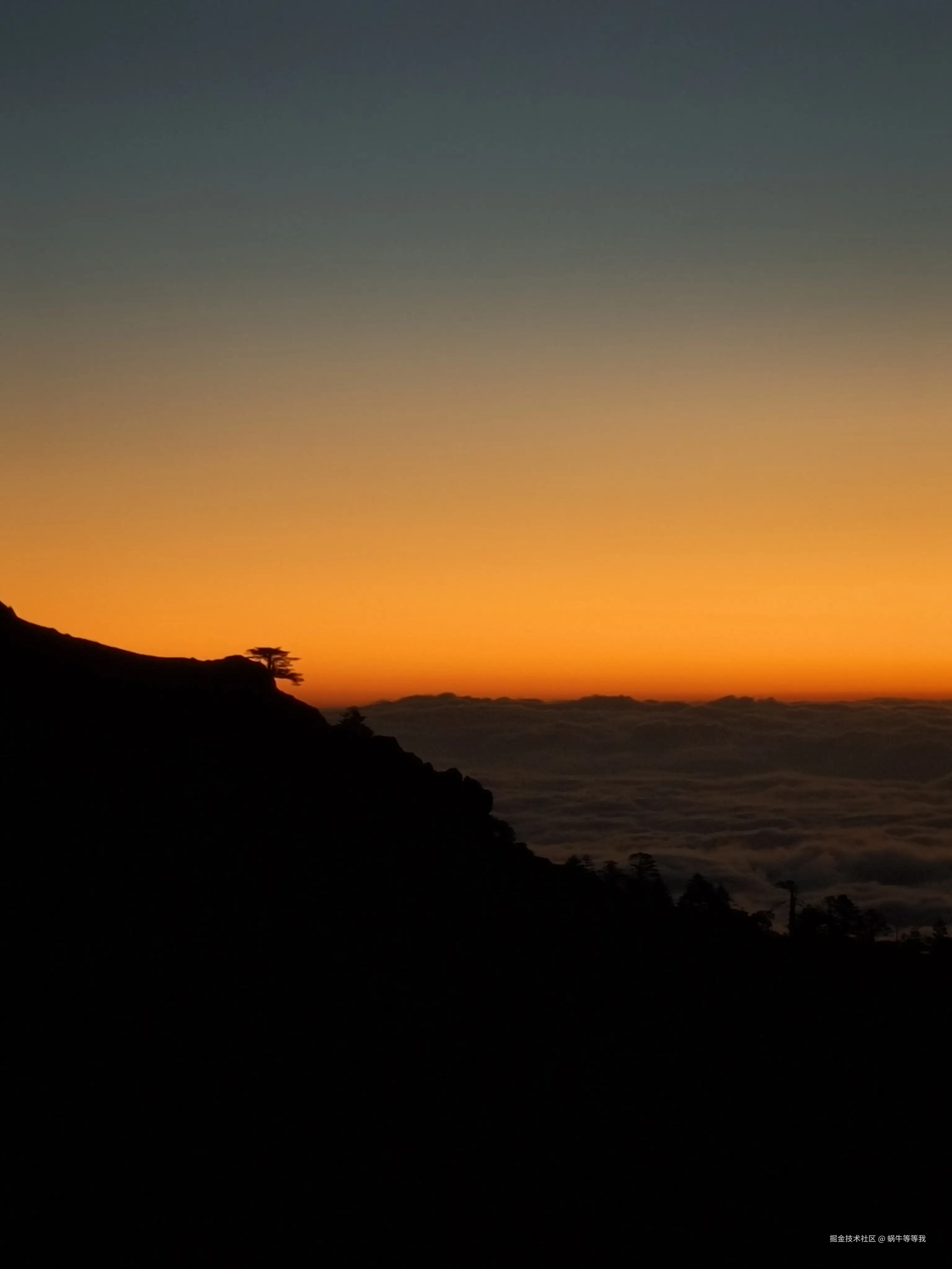 蜗牛等等我于2026-01-09 10:39发布的图片