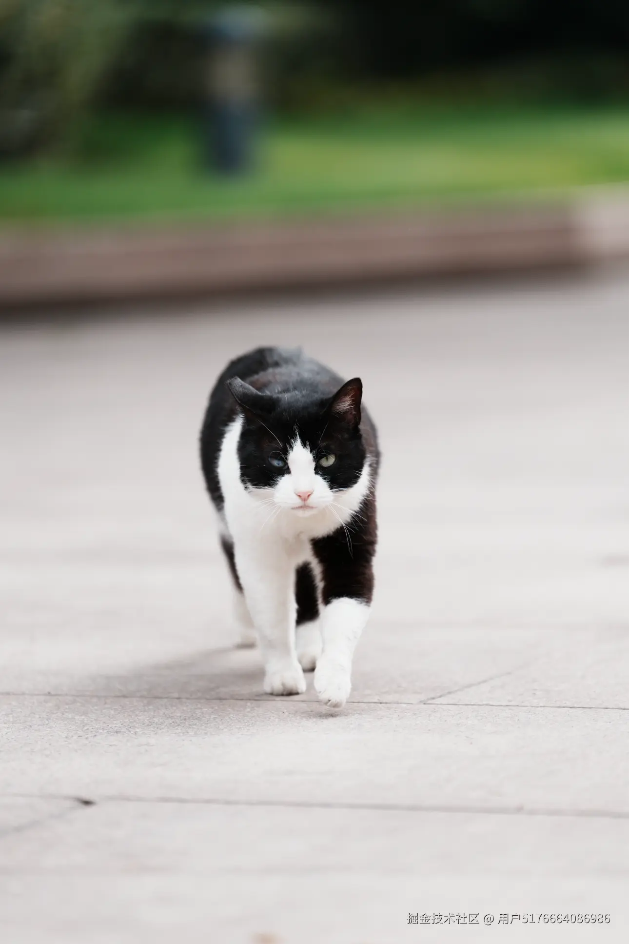 用户5176664086986于2025-05-26 15:20发布的图片