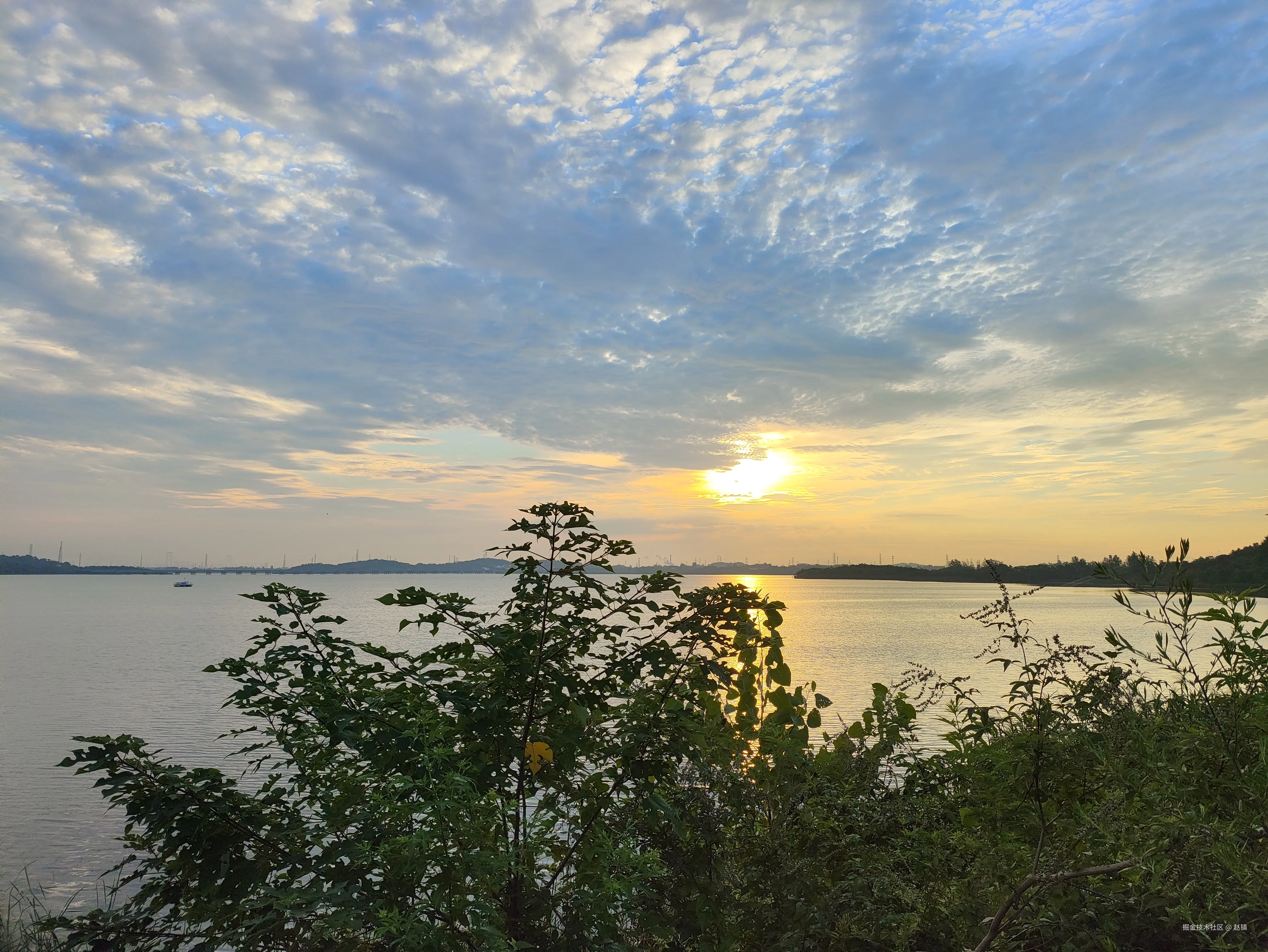 赵镇于2024-08-01 09:49发布的图片