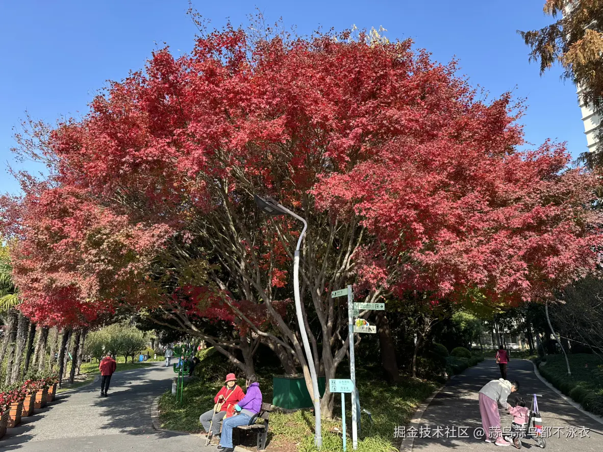 蒜鸟蒜鸟都不泳衣于2025-12-20 10:08发布的图片