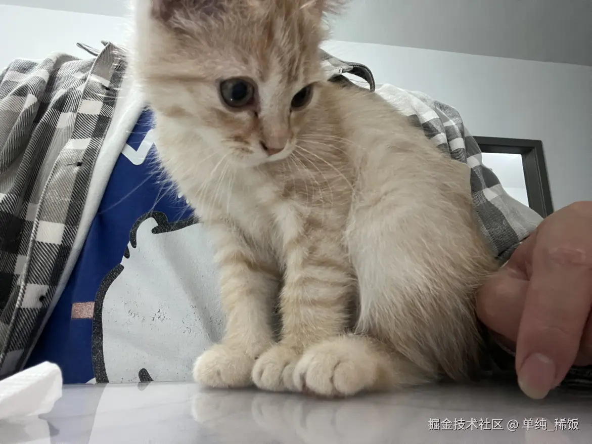 单纯_稀饭于2025-04-06 10:20发布的图片