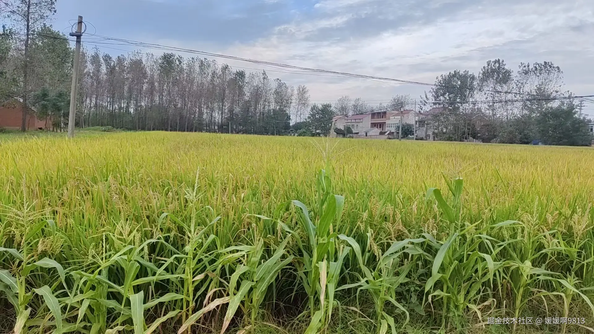 媛媛啊9813于2024-12-15 22:46发布的图片