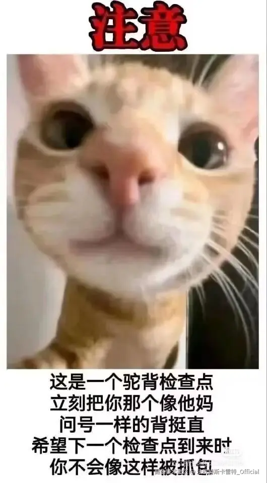 法欧特斯卡雷特_Official于2025-04-22 09:14发布的图片