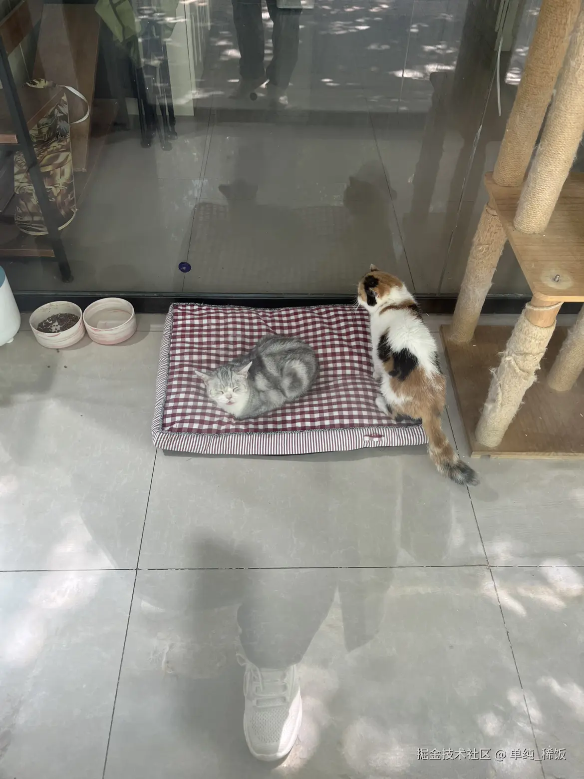 单纯_稀饭于2025-04-28 05:21发布的图片