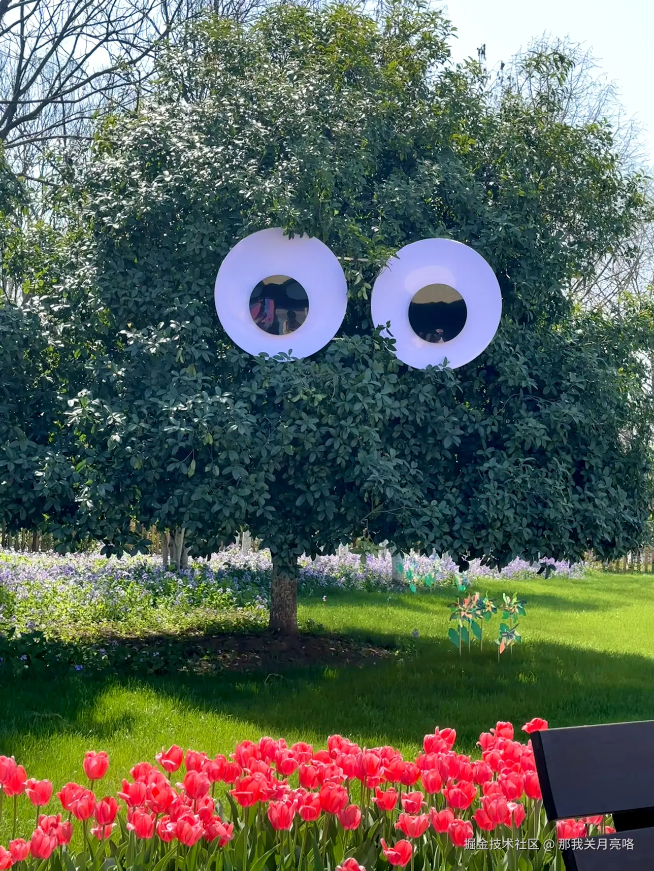 那我关月亮咯于2025-03-24 09:35发布的图片