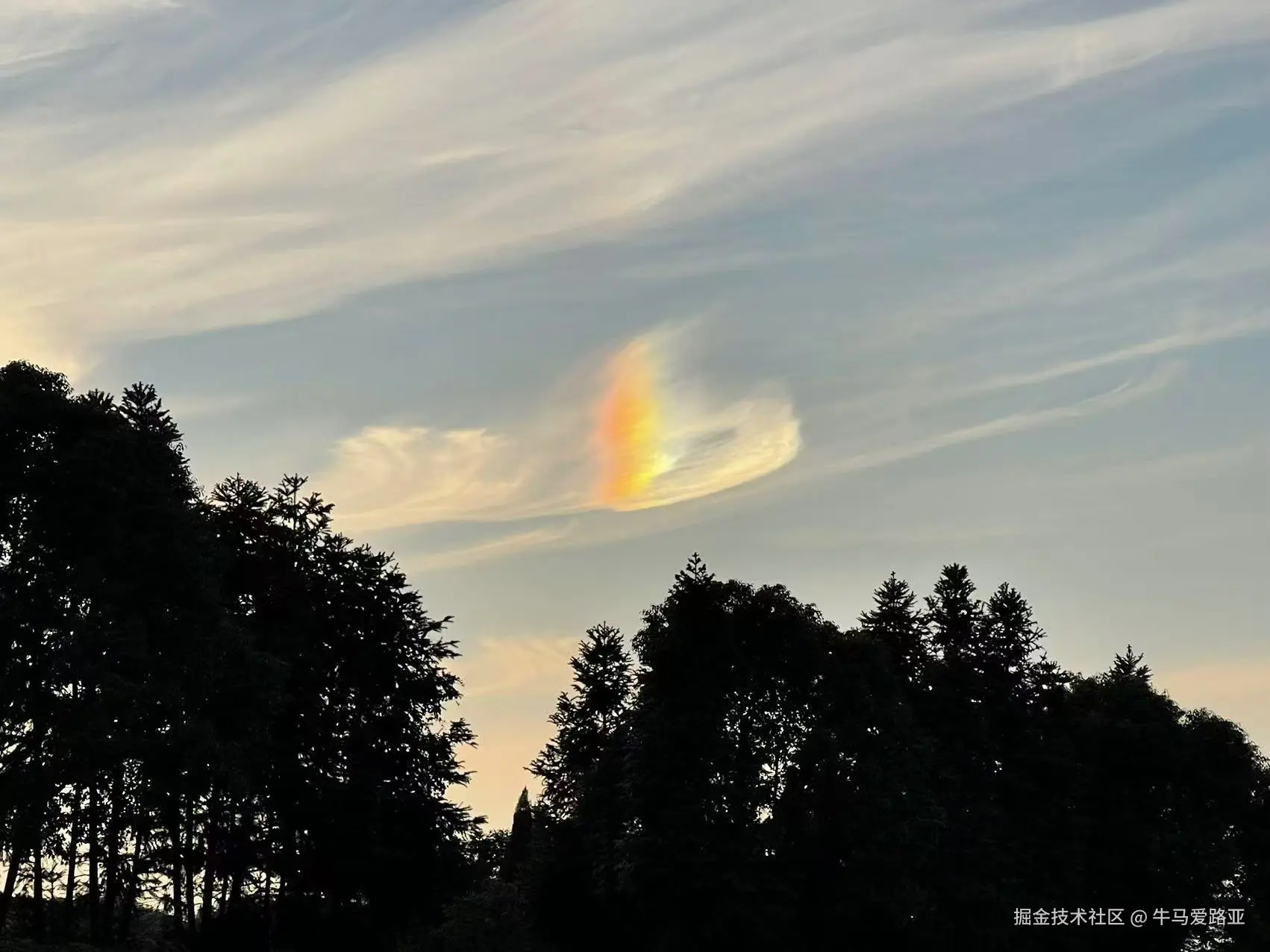 牛马爱路亚于2024-10-29 16:47发布的图片