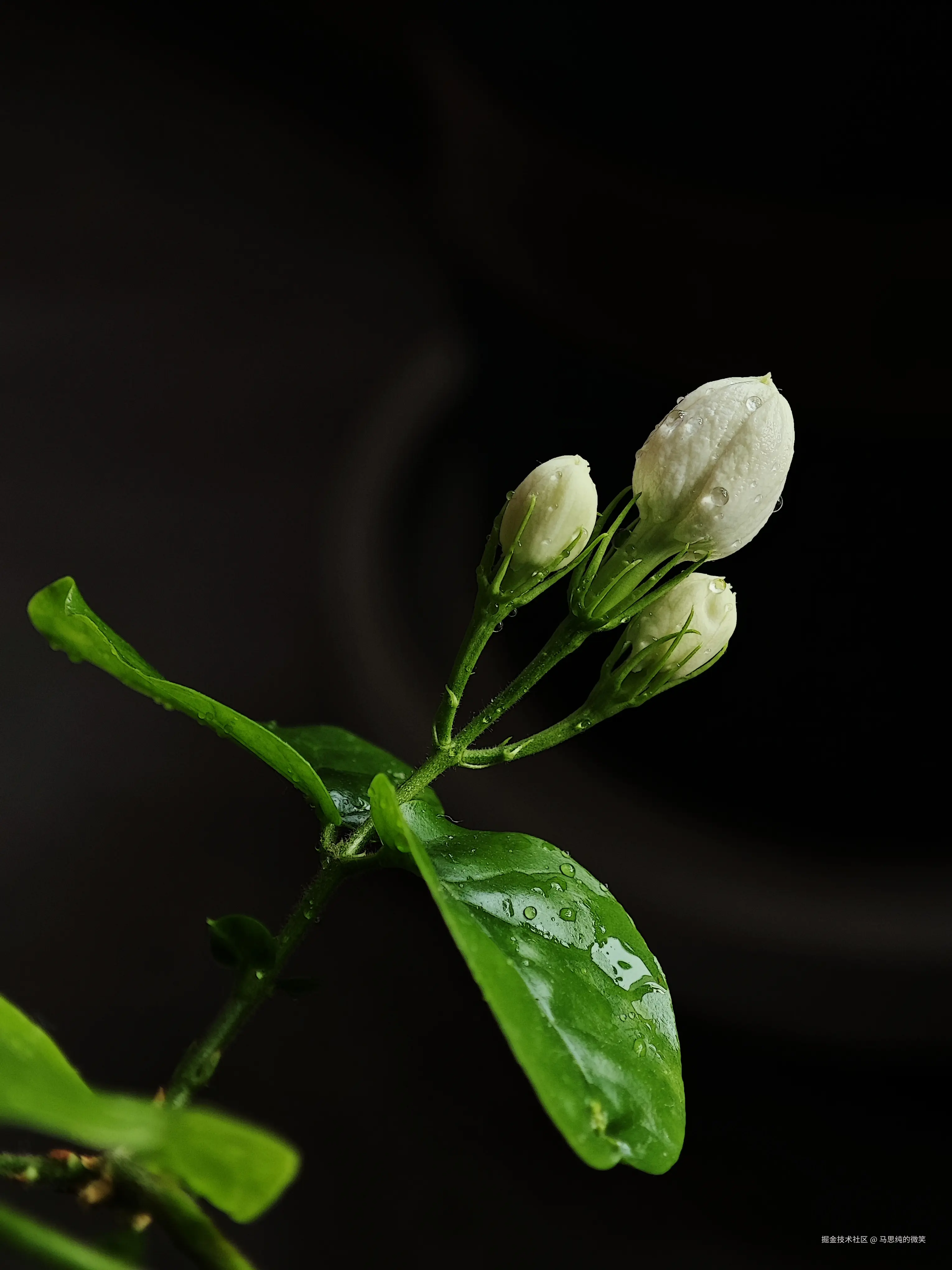 马思纯的微笑于2025-03-13 13:33发布的图片