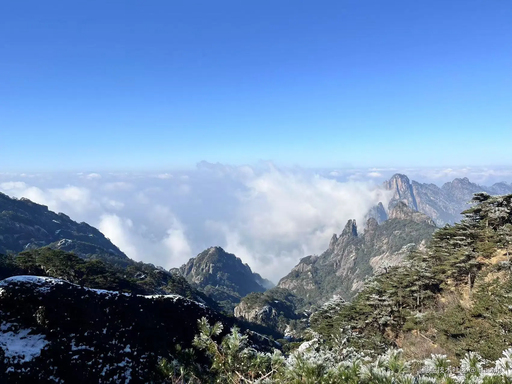 Hasaki于2024-12-16 02:21发布的图片