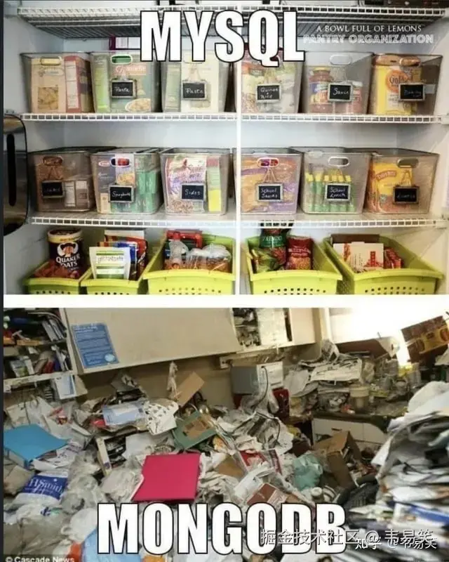 韦易笑于2024-11-20 22:46发布的图片