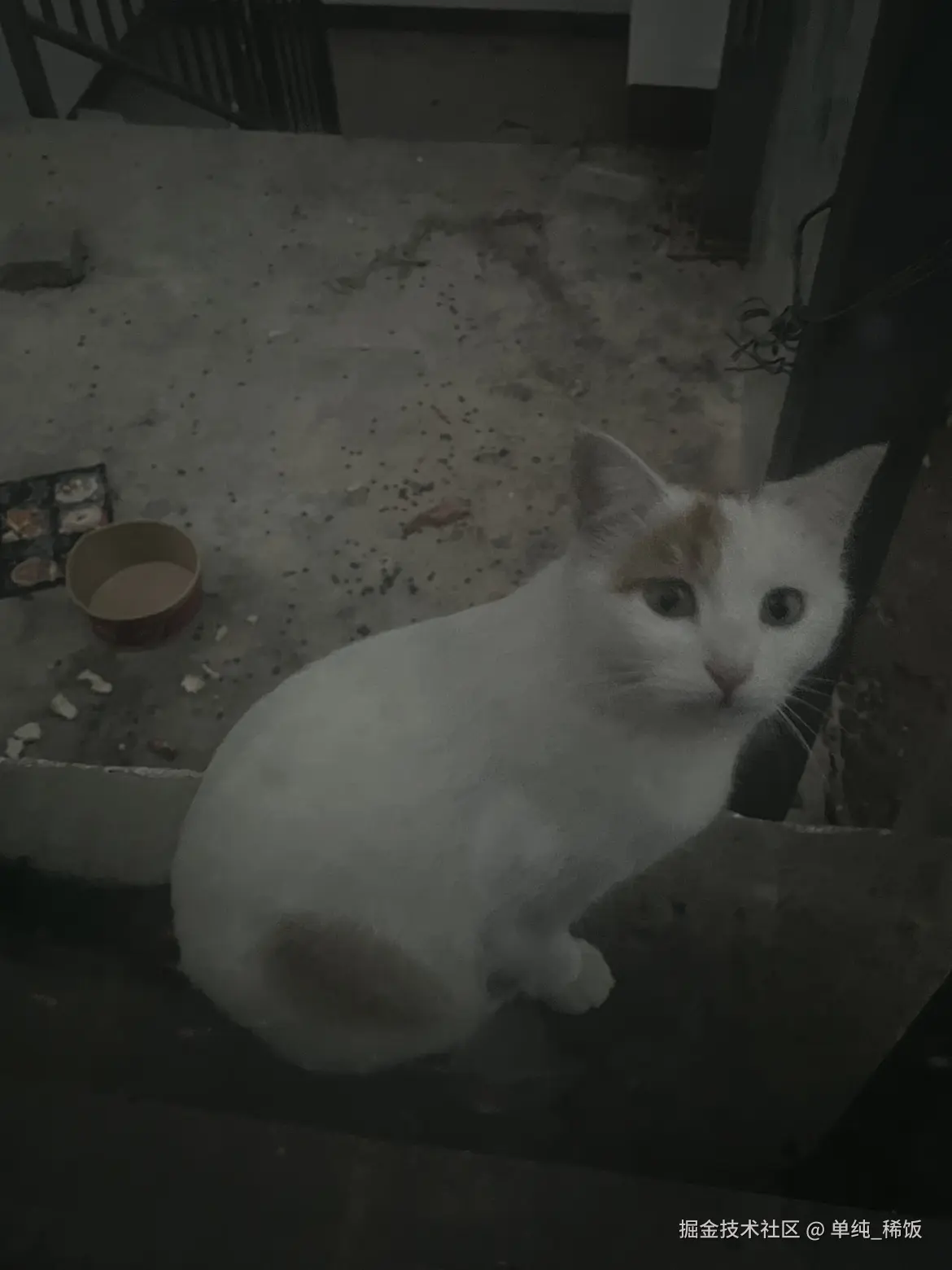 单纯_稀饭于2025-10-28 08:29发布的图片
