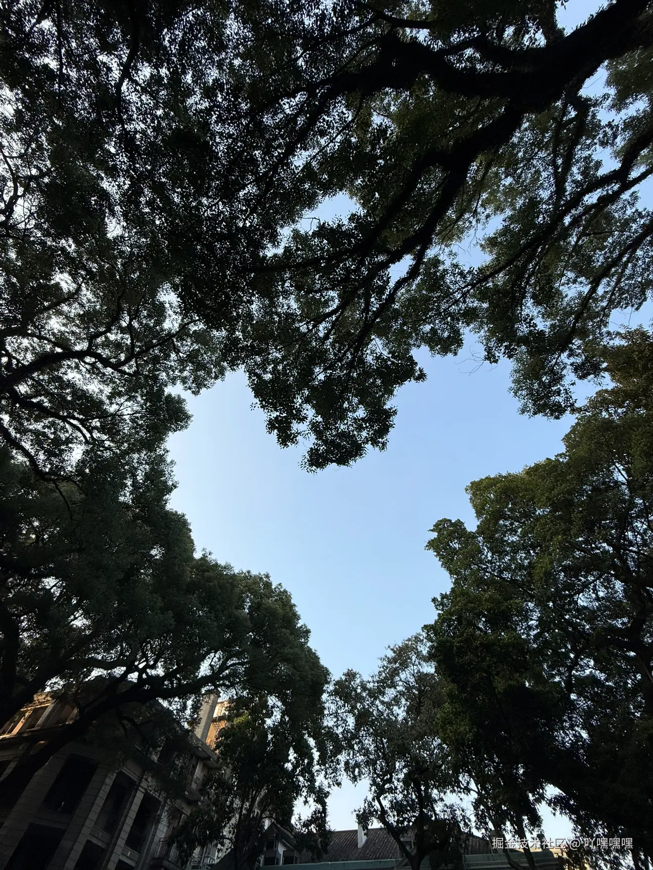 吖嘿嘿嘿于2026-01-21 12:18发布的图片