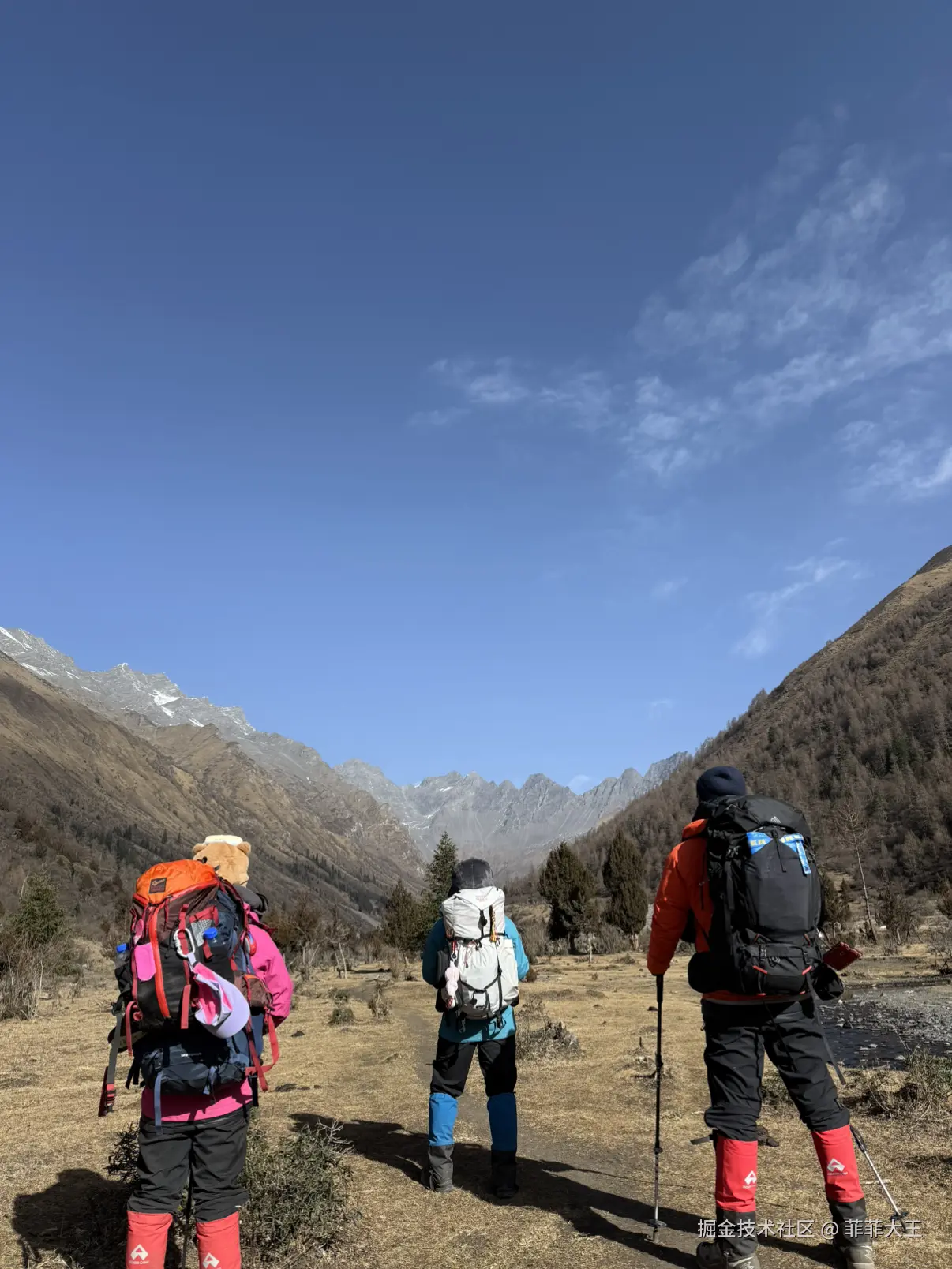 菲菲大王于2025-12-15 10:55发布的图片