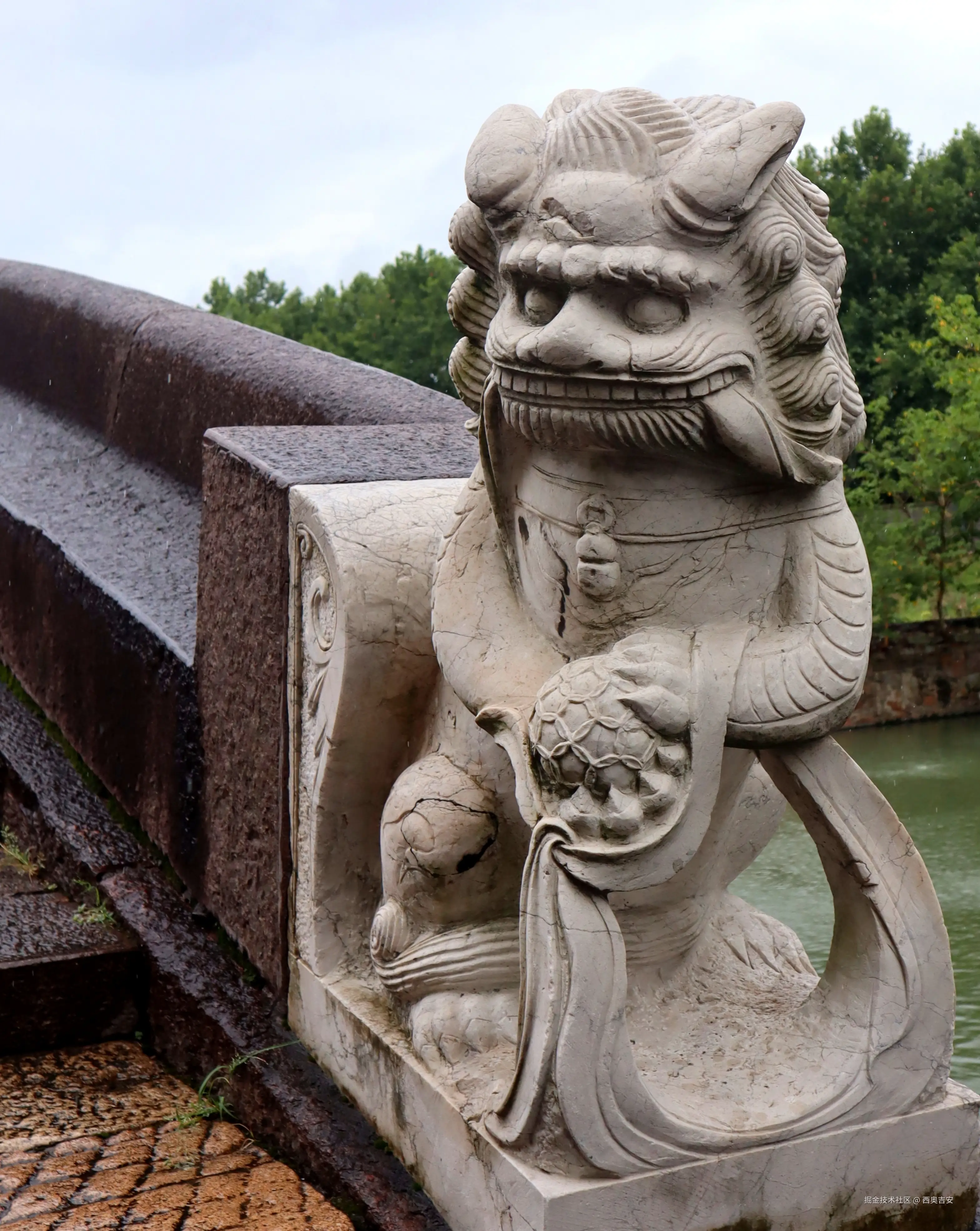 西奥吉安于2025-07-31 13:12发布的图片