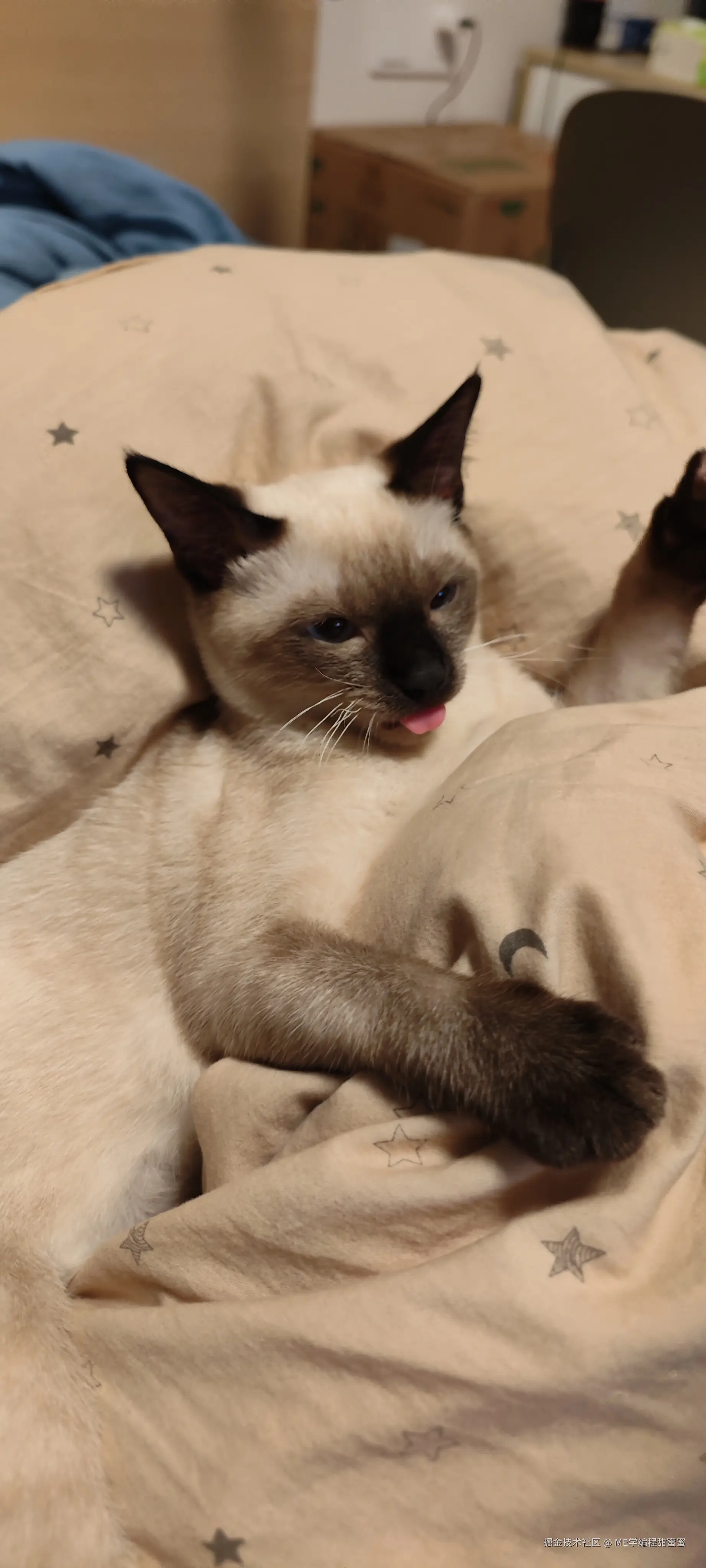 ME学编程甜蜜蜜于2024-07-18 08:20发布的图片