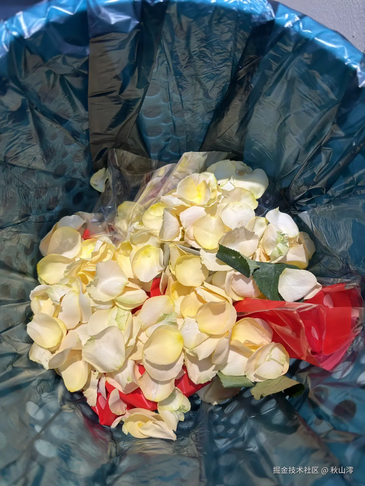 秋山澪于2025-02-24 09:32发布的图片