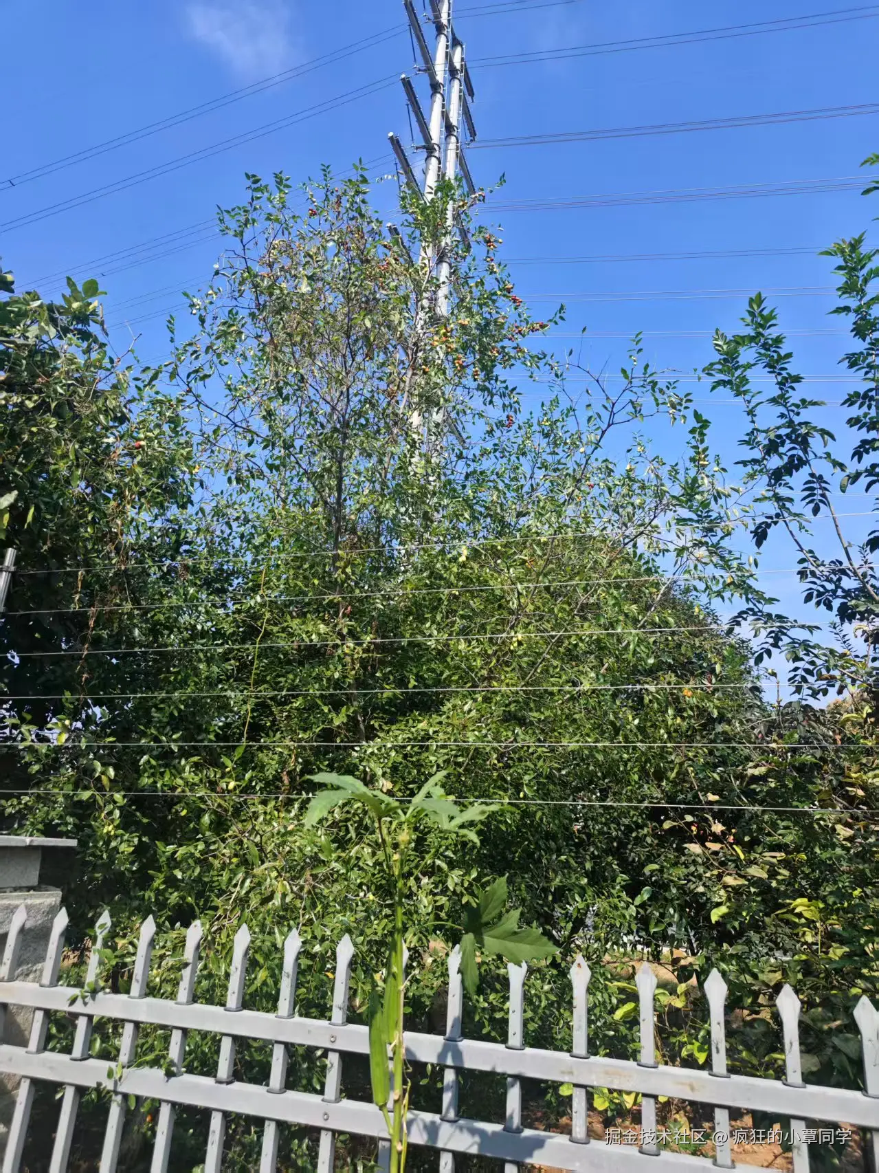 疯狂的小覃同学于2025-10-14 10:51发布的图片