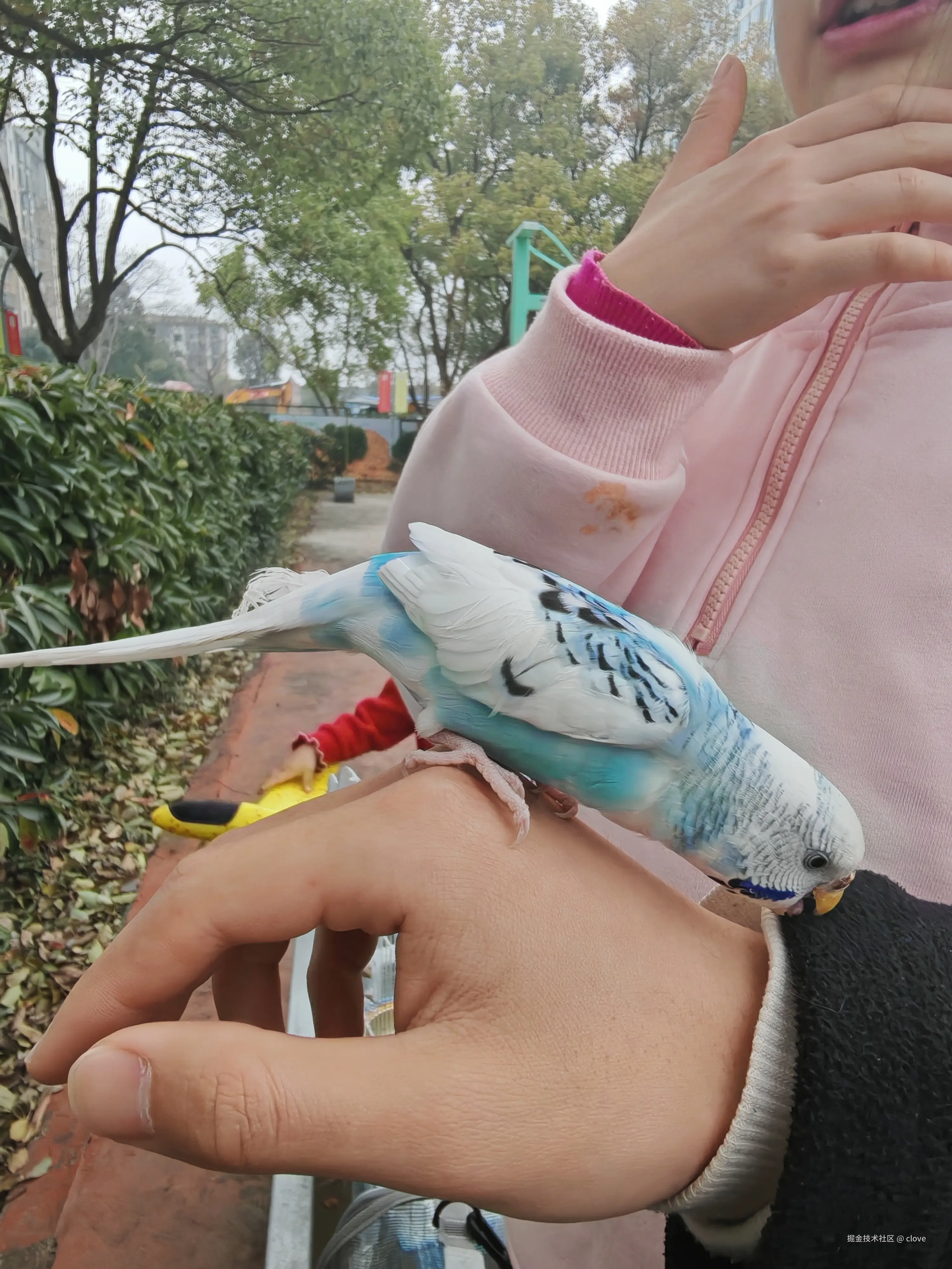 clove于2026-03-15 19:57发布的图片