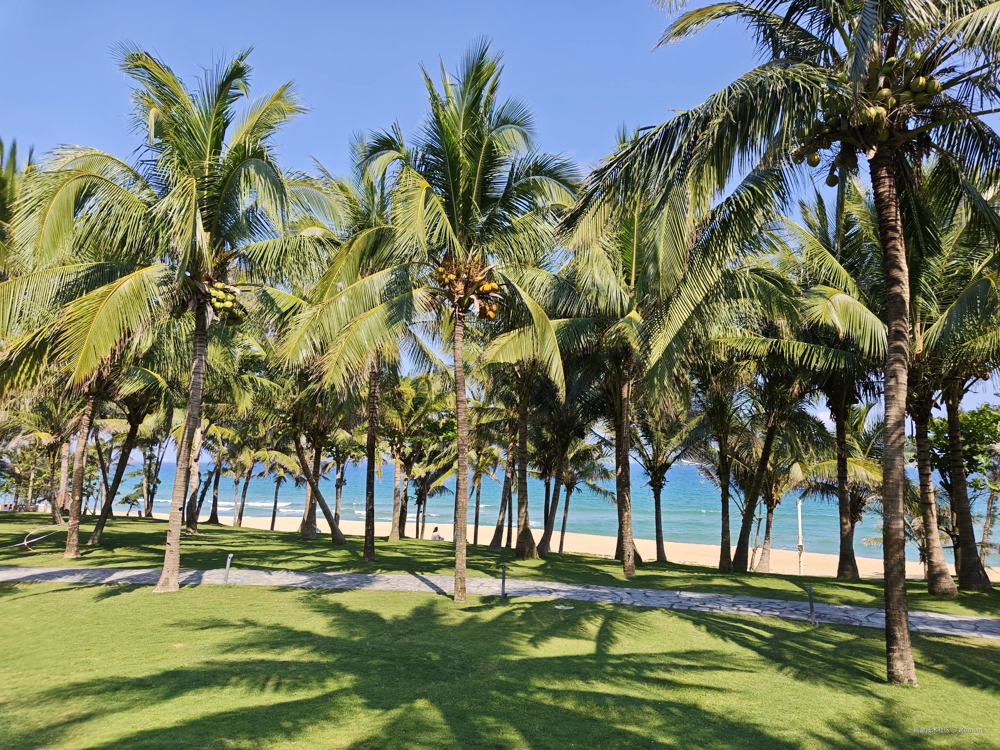 Moment于2026-03-23 09:53发布的图片